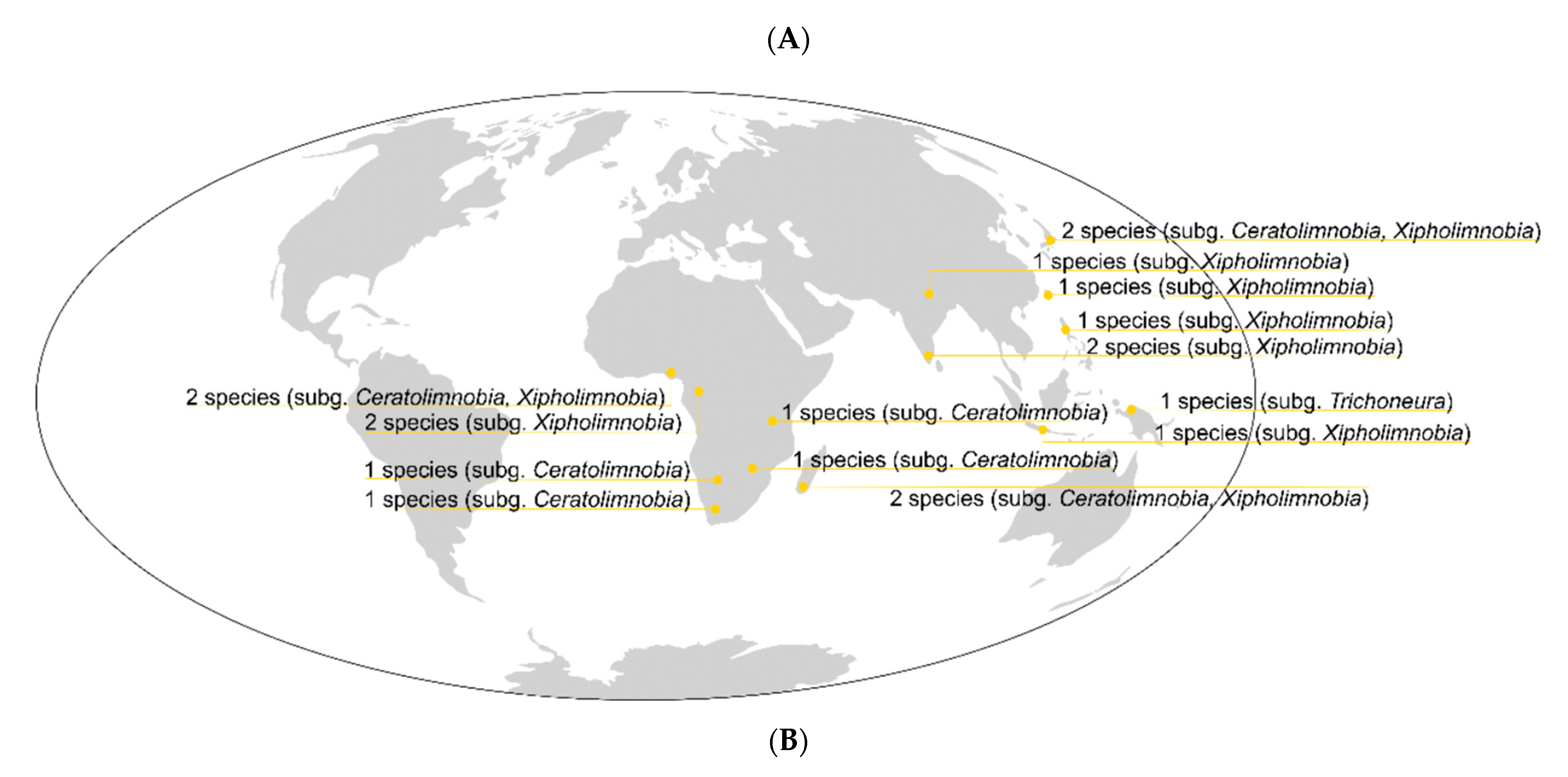 Insects 12 00411 g006b