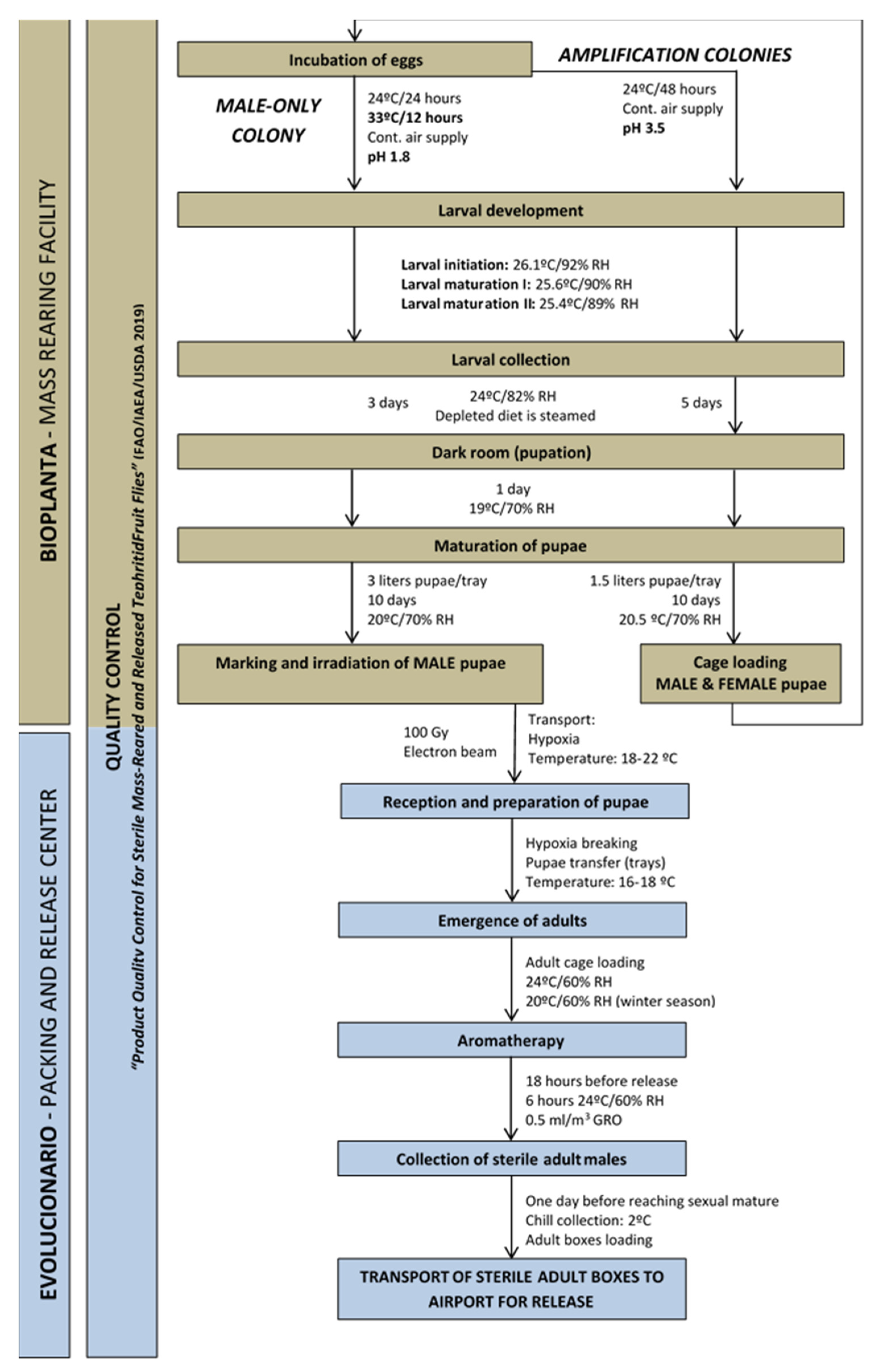 Insects 12 00415 g001