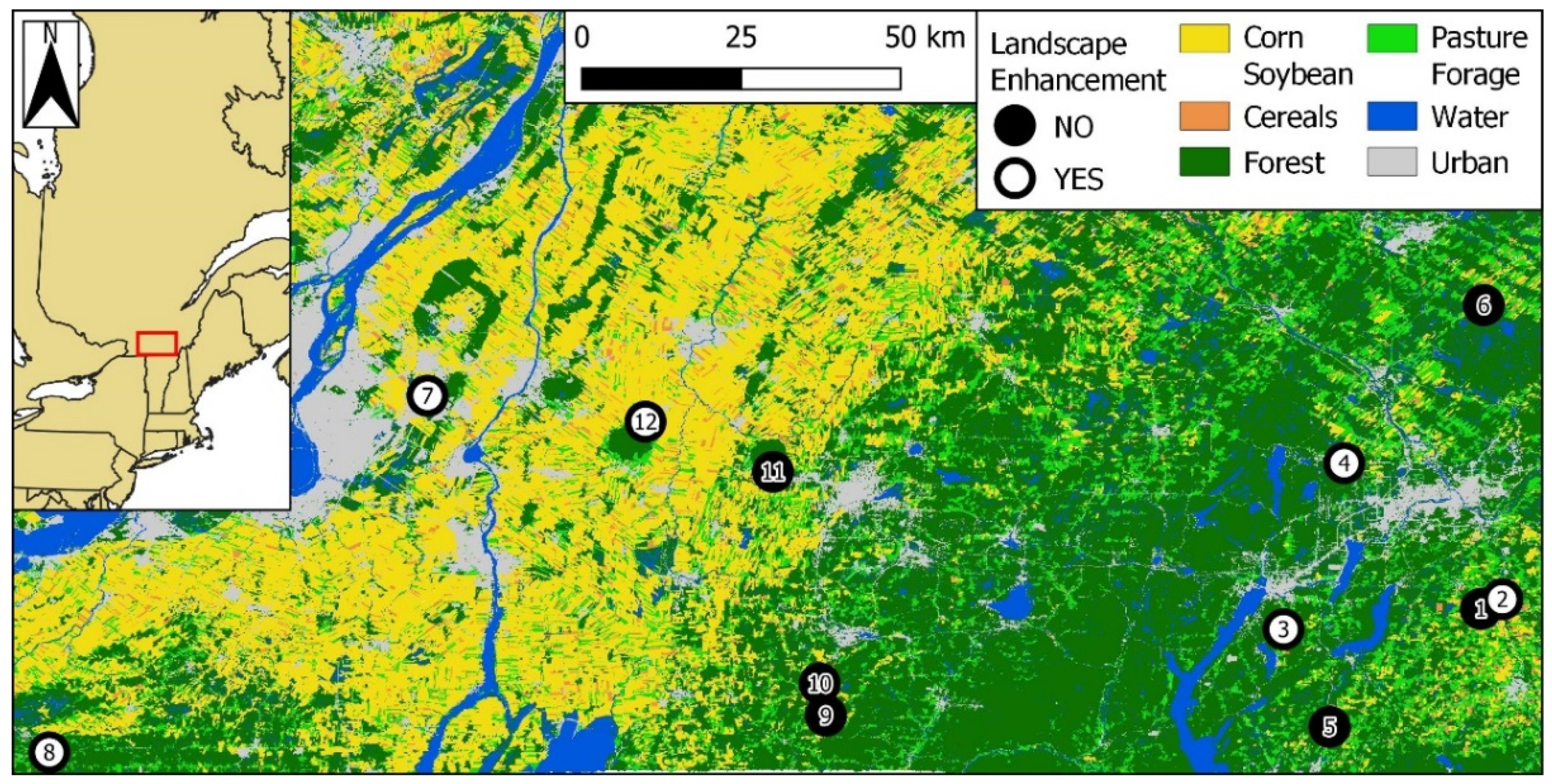 Insects 12 00421 g001