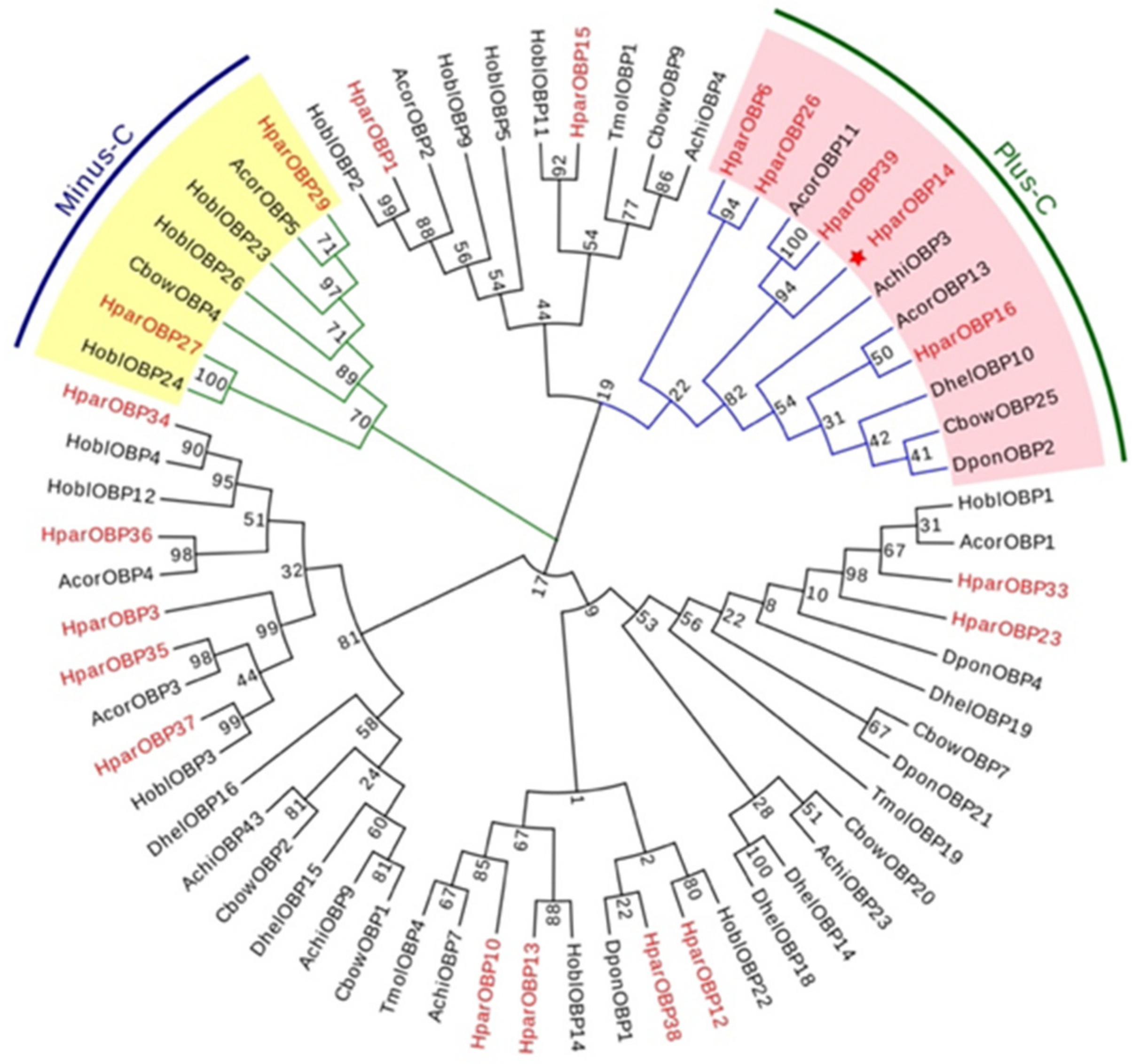 Insects 12 00430 g002 Insects 12 00430 g002