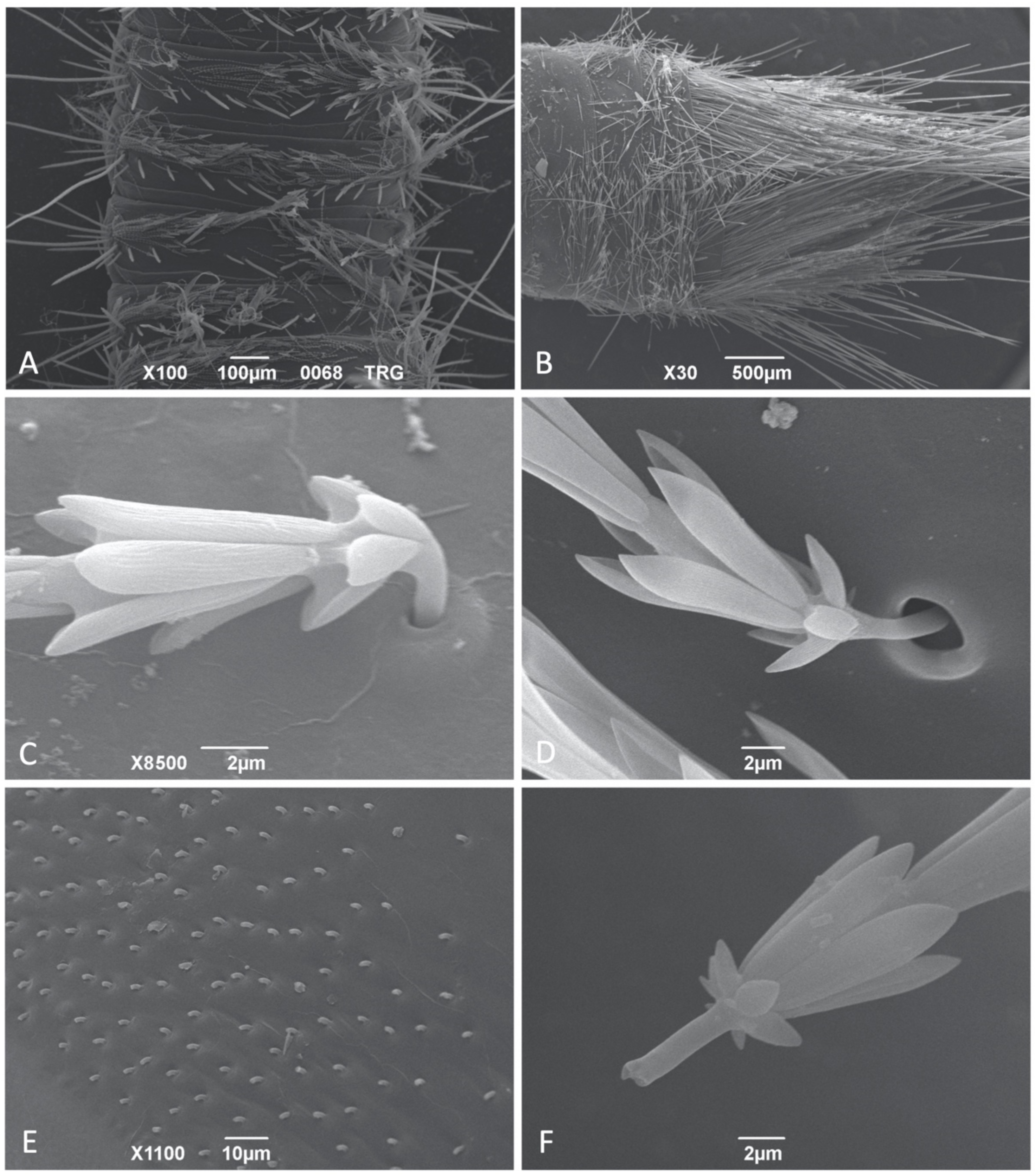 Insects 12 00436 g001 Insects 12 00436 g001