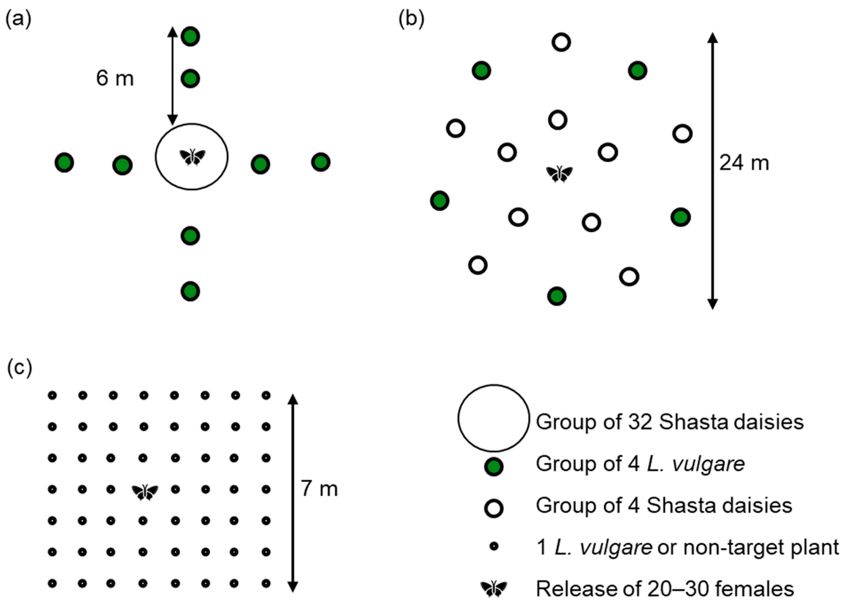 Insects 12 00438 g001