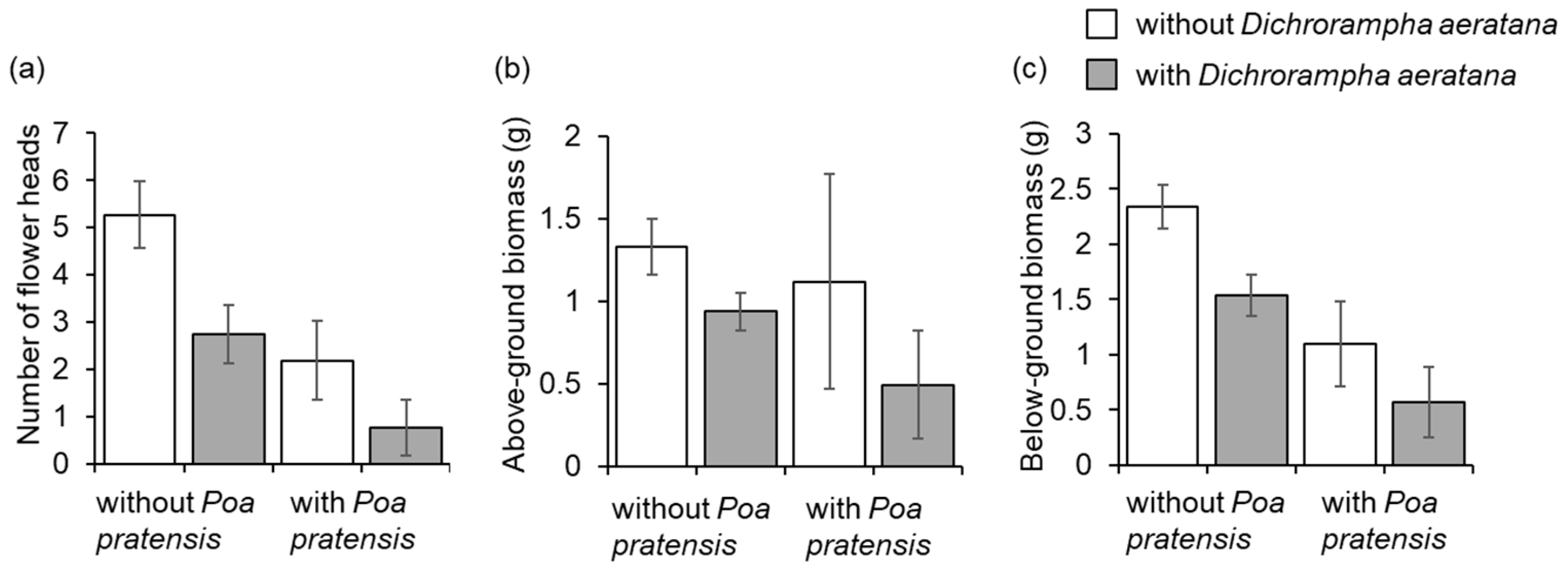 Insects 12 00438 g004