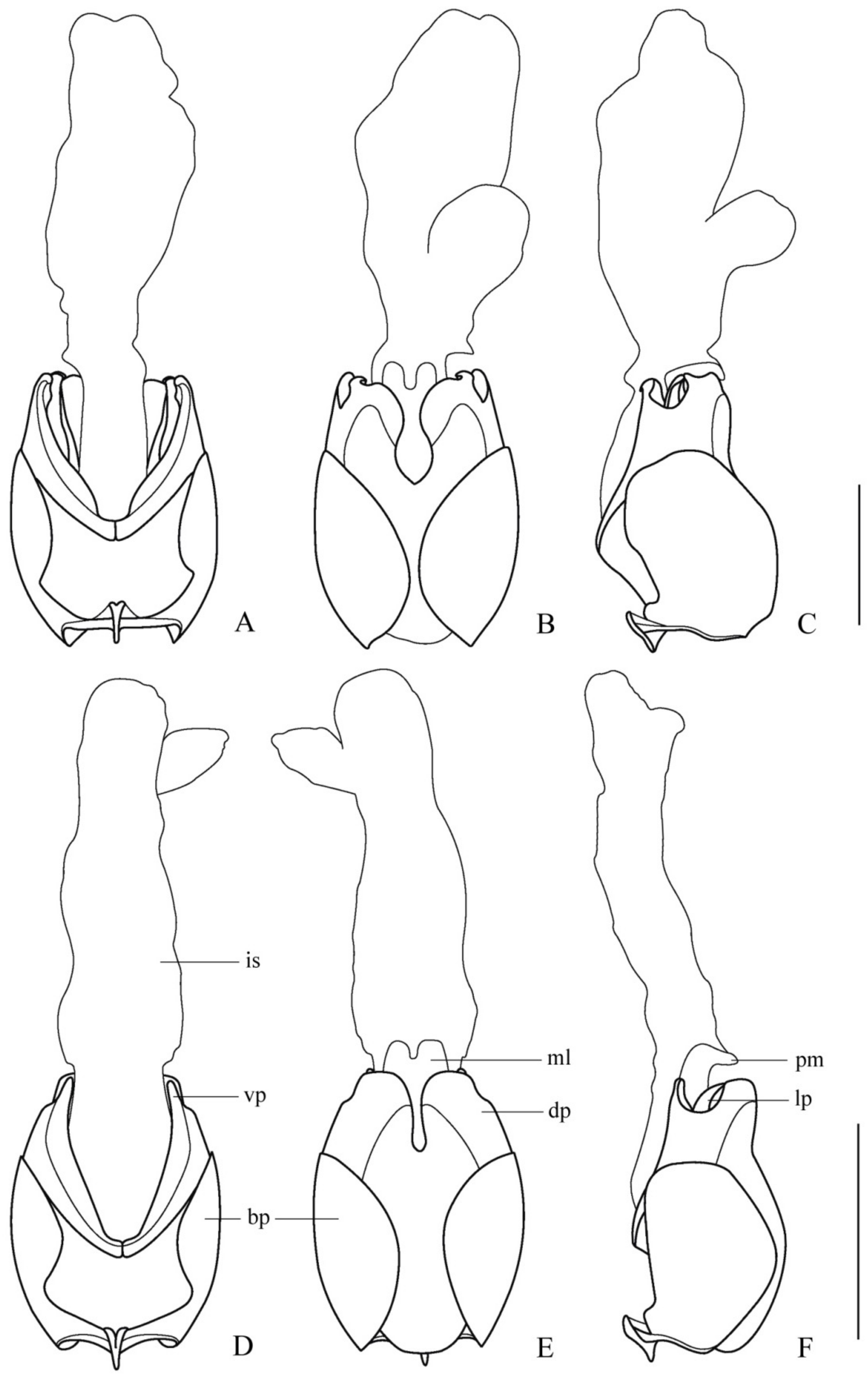 Insects 12 00445 g002 Insects 12 00445 g002