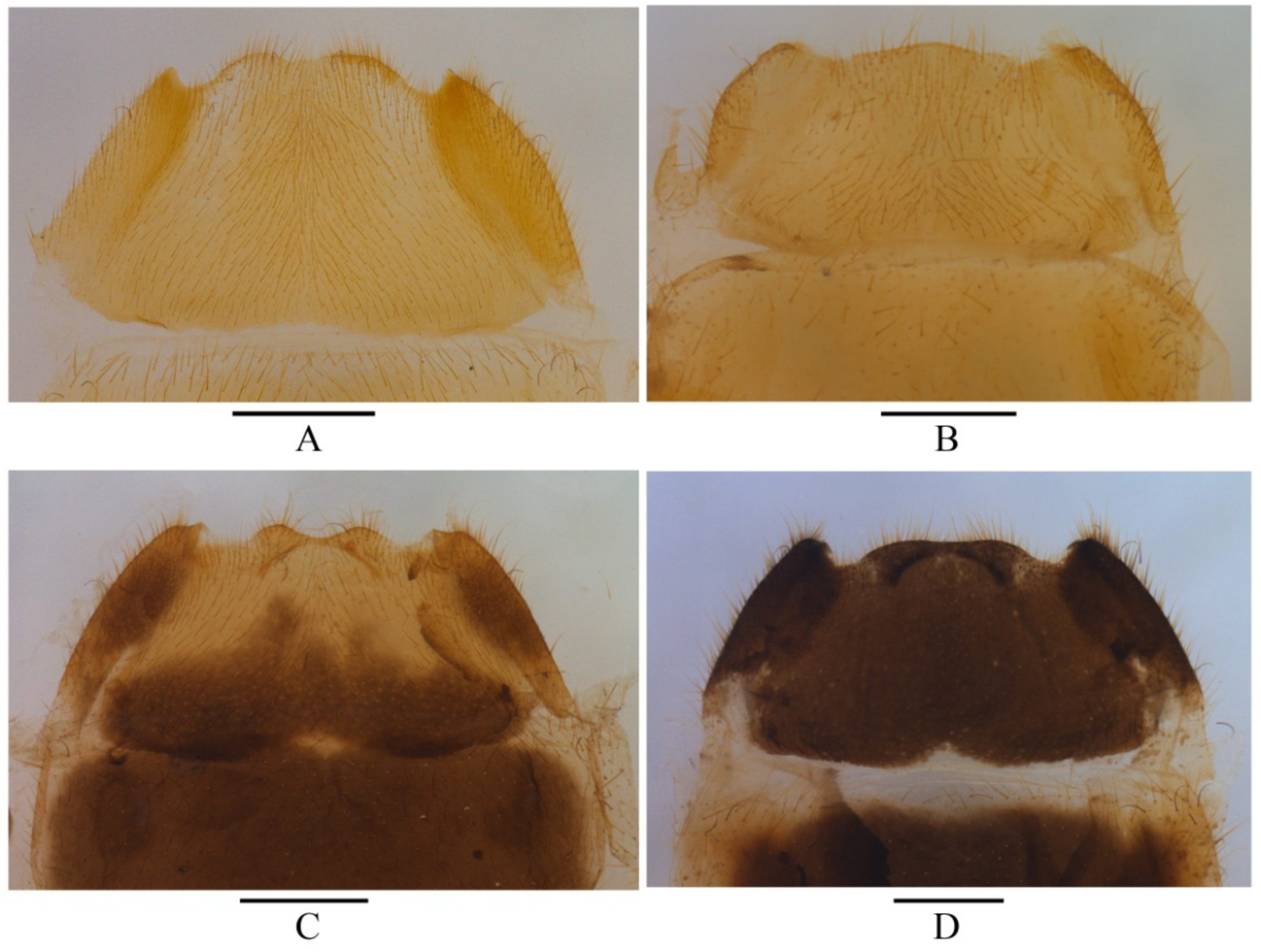 Insects 12 00445 g003 Insects 12 00445 g003