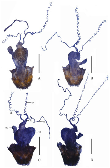 Insects 12 00445 g004