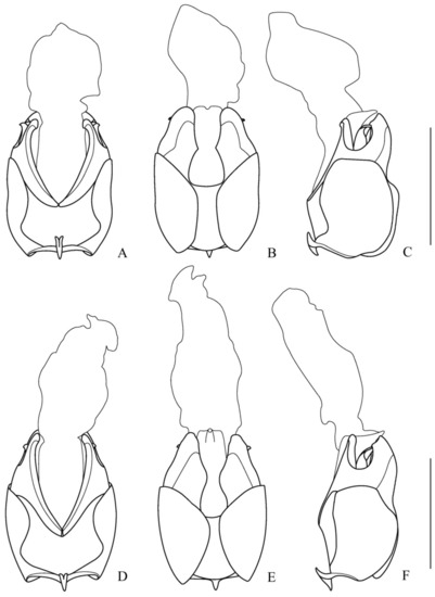 Insects 12 00445 g005