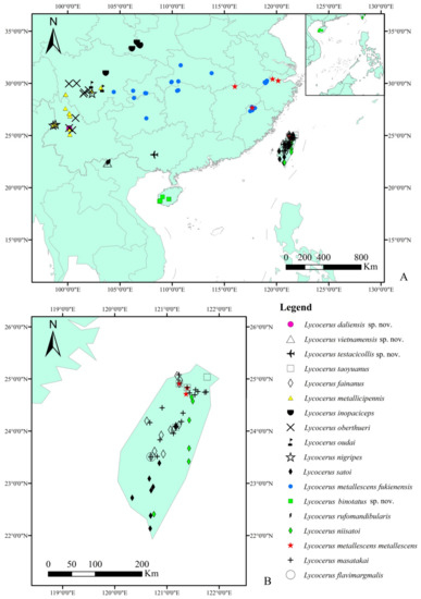 Insects 12 00445 g006
