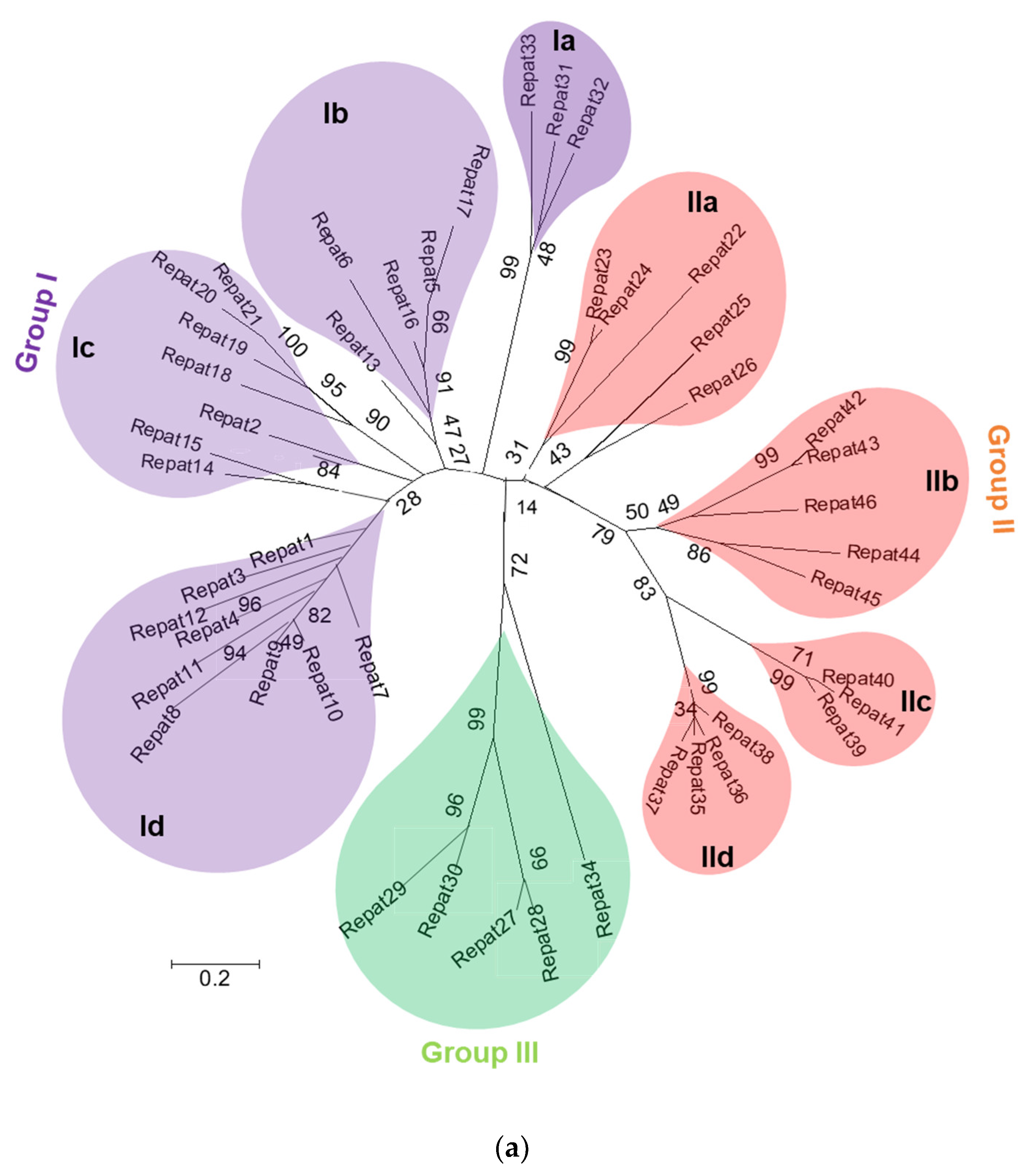 Insects 12 00449 g001a