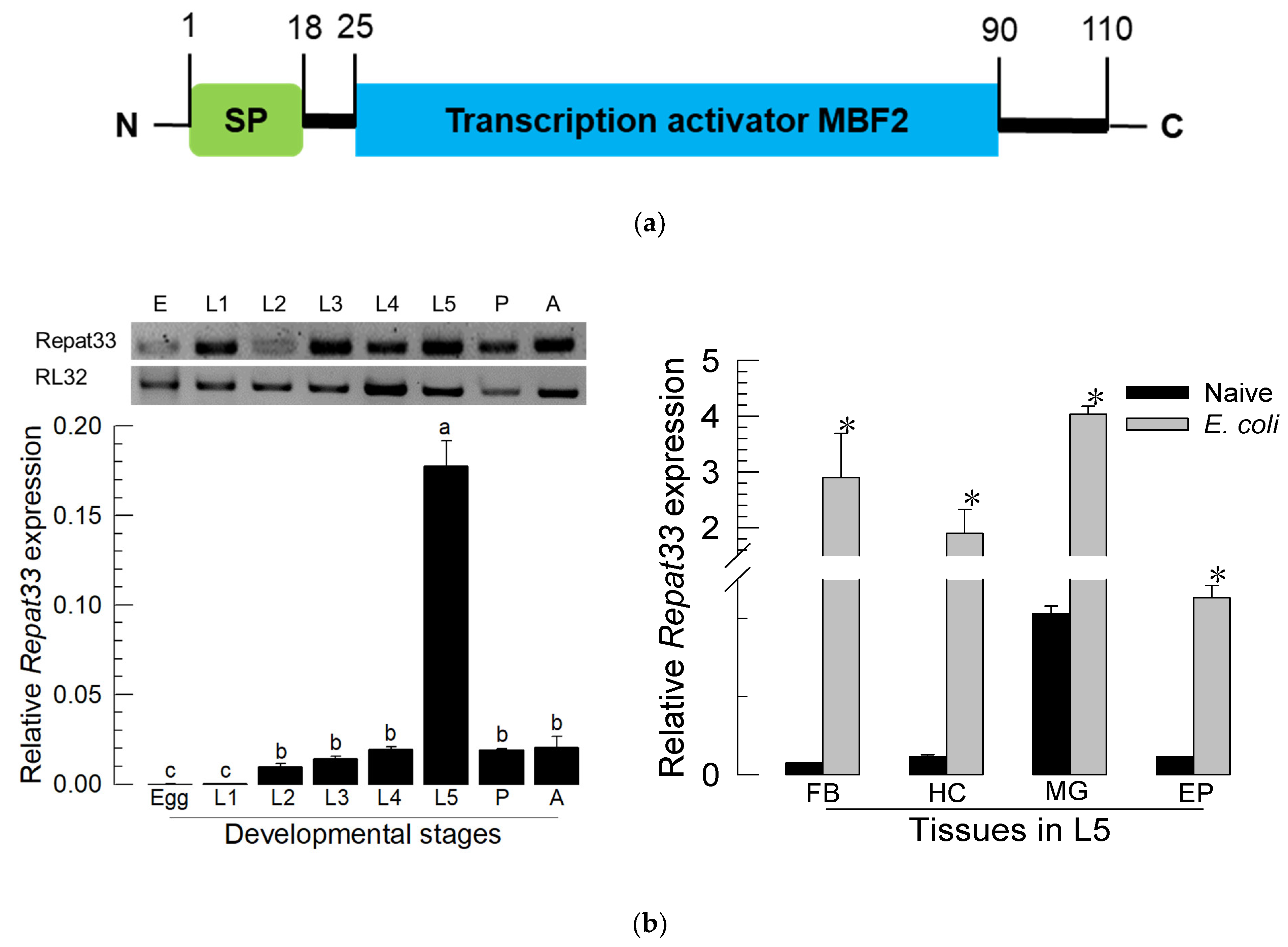Insects 12 00449 g002