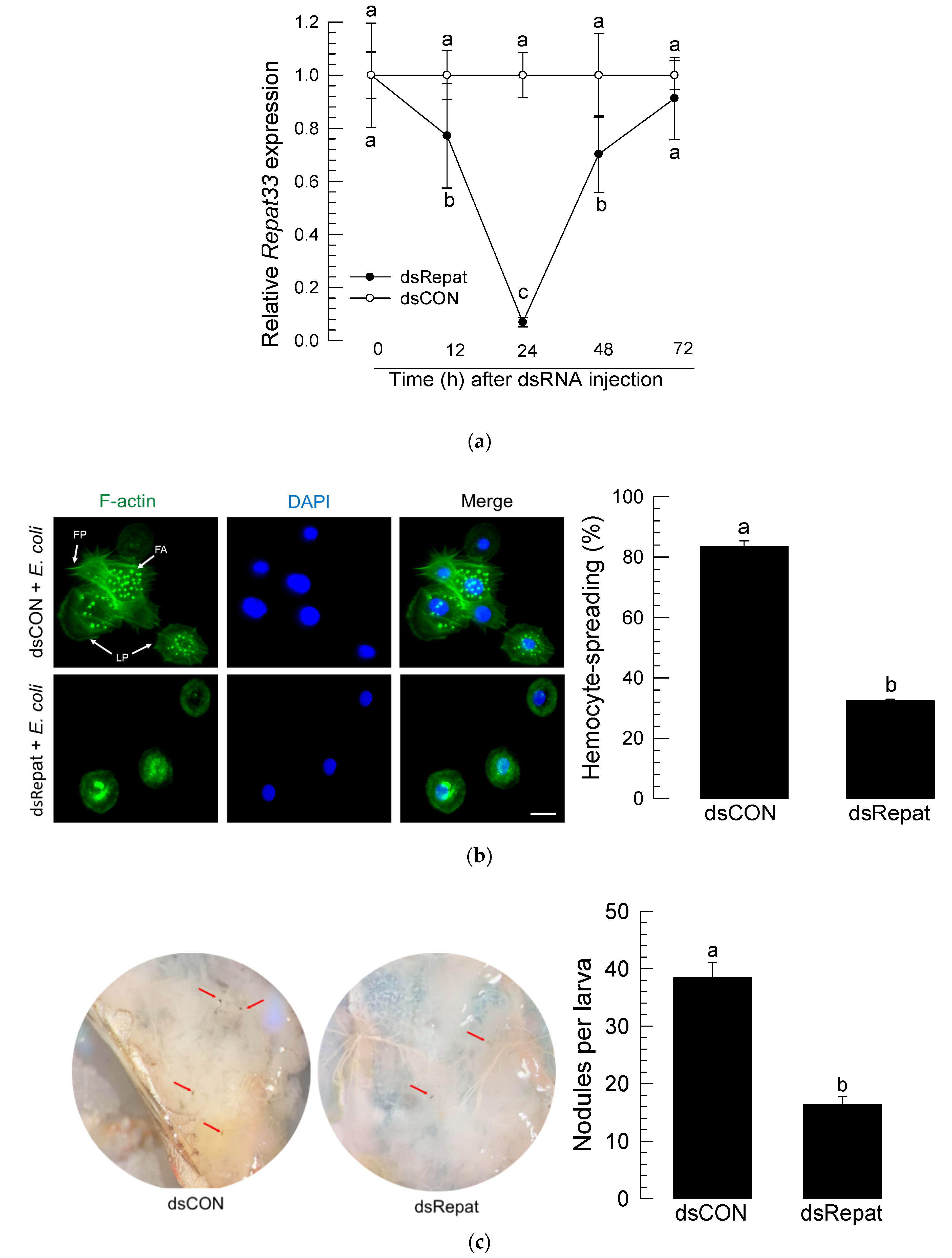 Insects 12 00449 g003