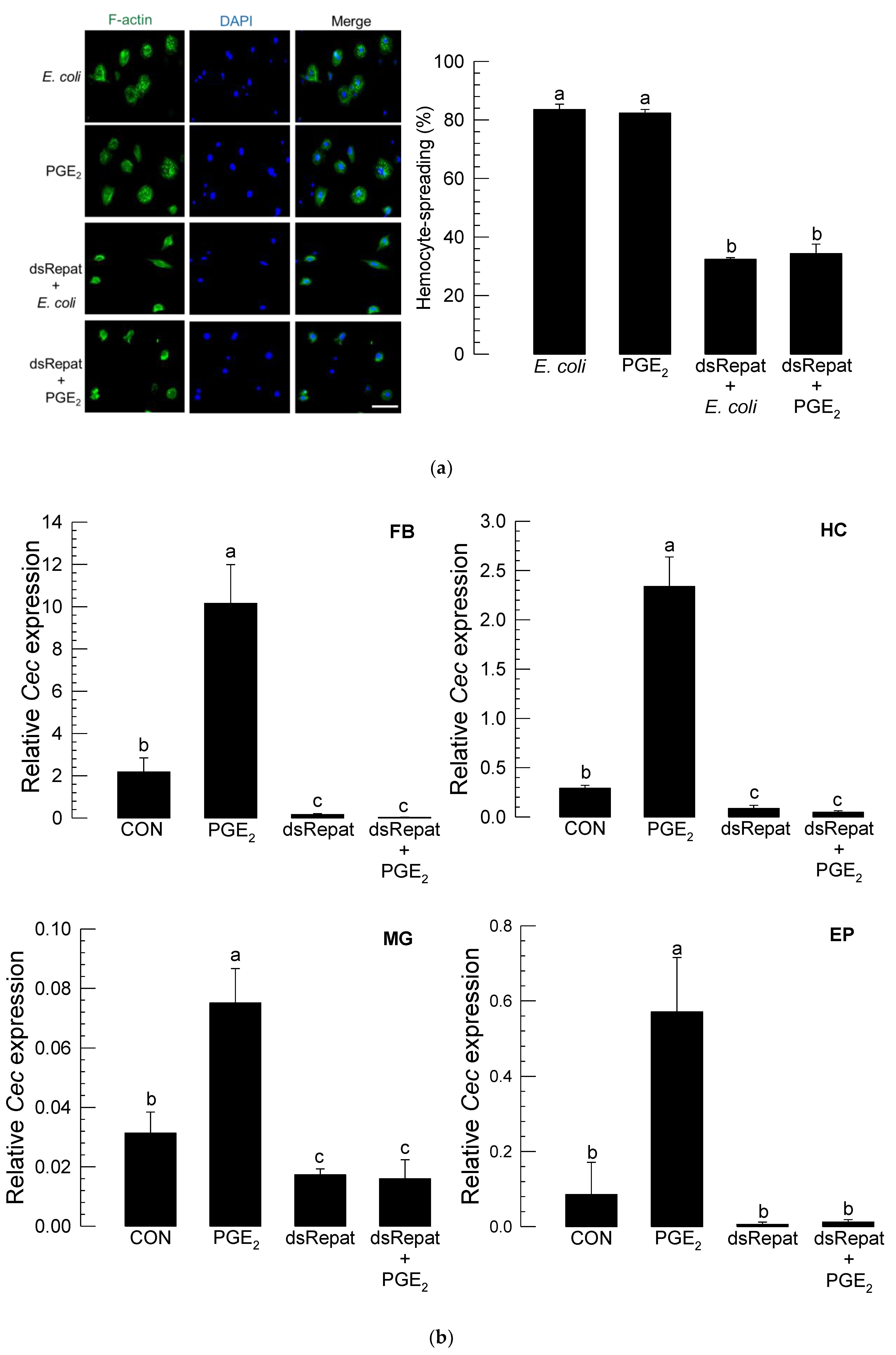 Insects 12 00449 g006a