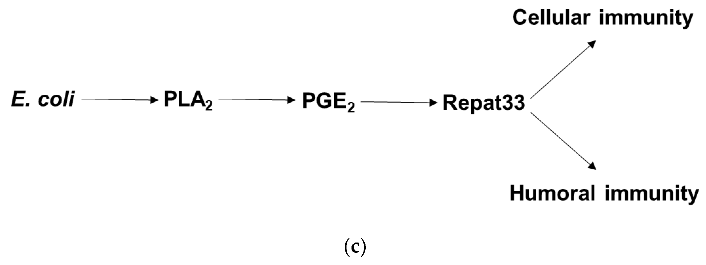 Insects 12 00449 g006b