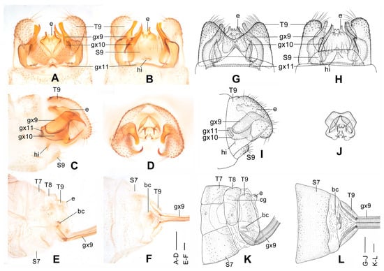 Insects 12 00451 g005