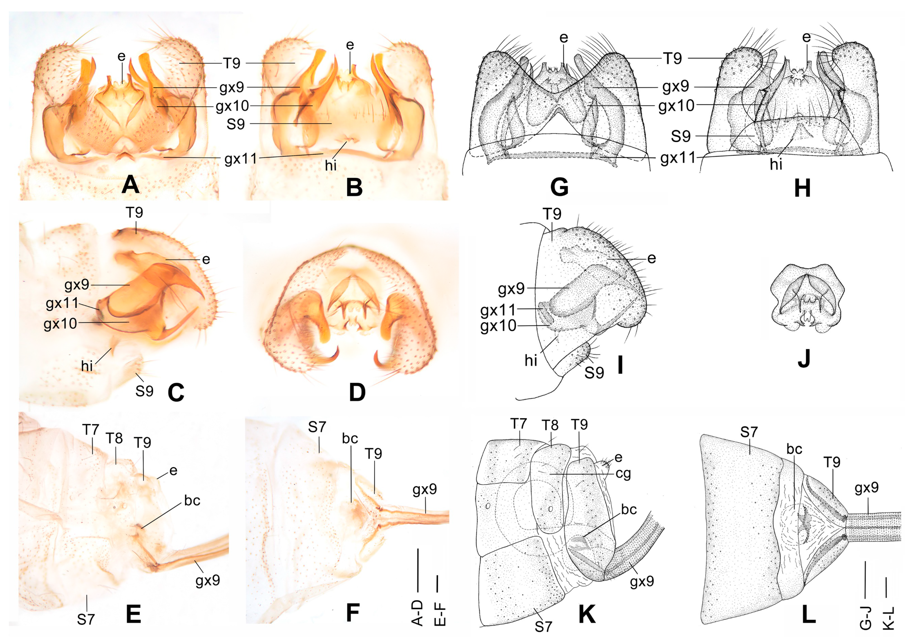 Insects 12 00451 g005