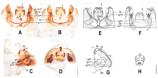 Insects 12 00451 g006