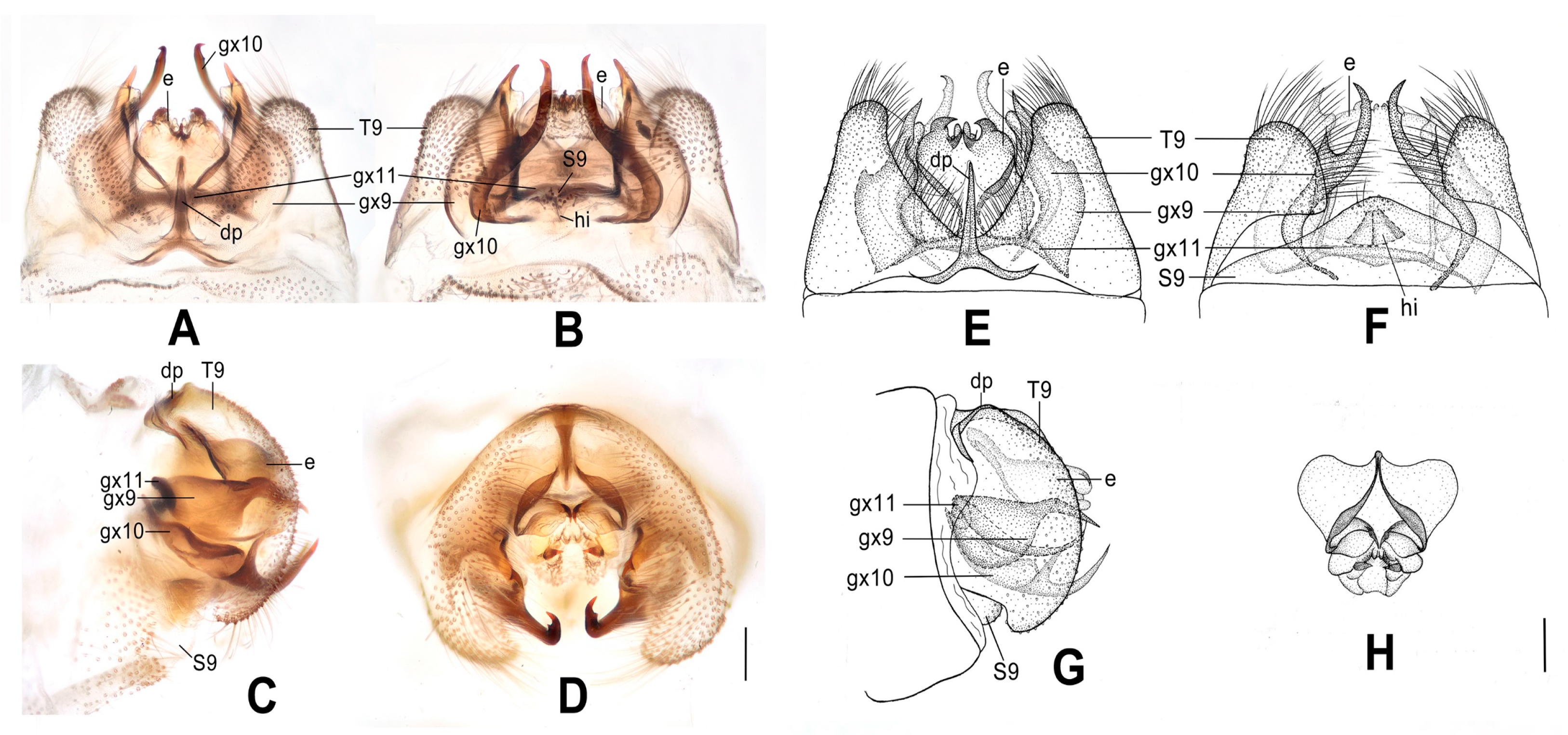 Insects 12 00451 g007