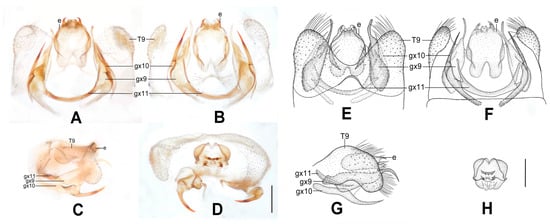Insects 12 00451 g008