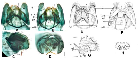 Insects 12 00451 g009