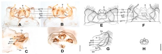Insects 12 00451 g010