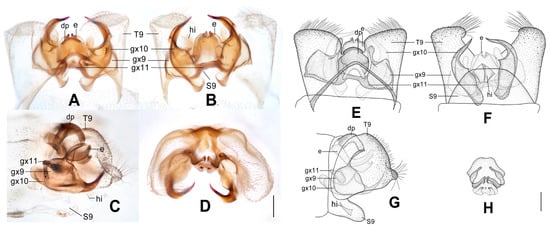Insects 12 00451 g011