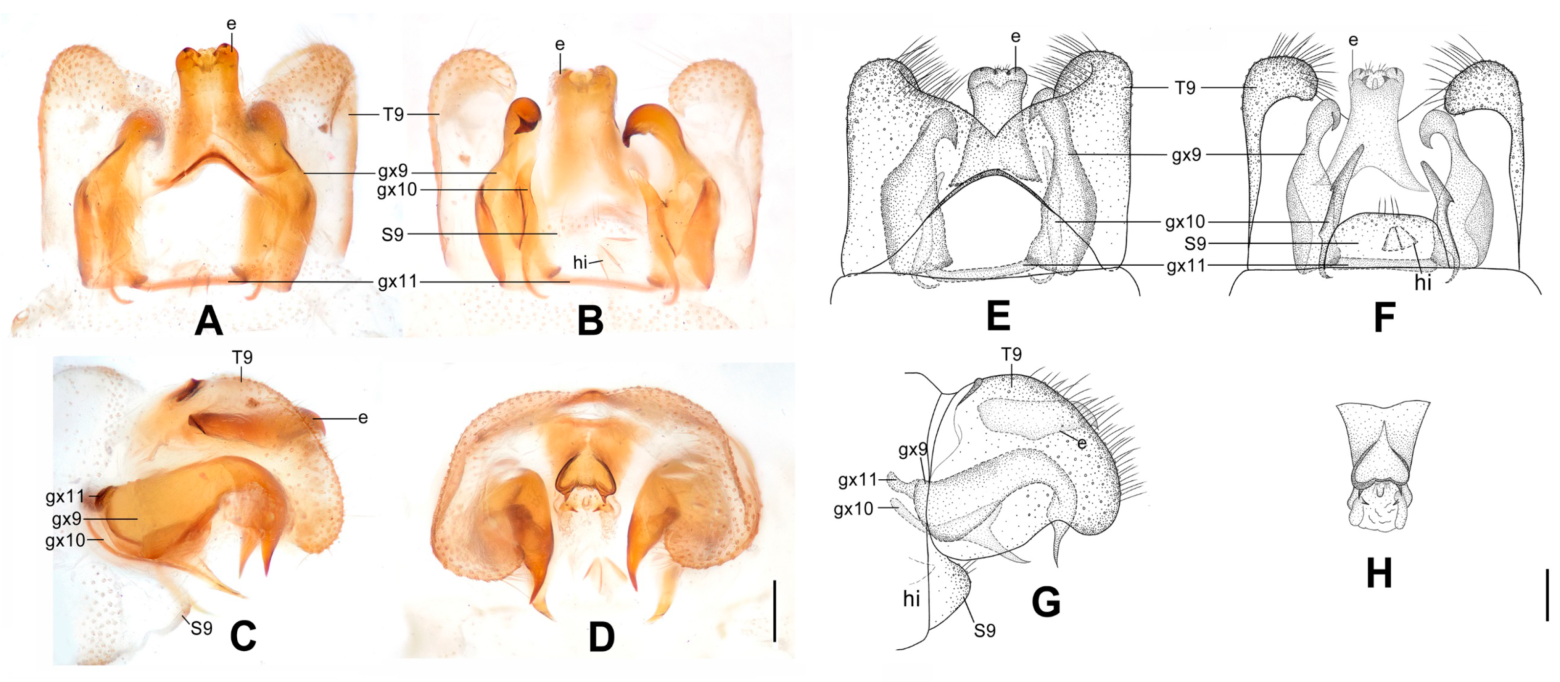 Insects 12 00451 g012