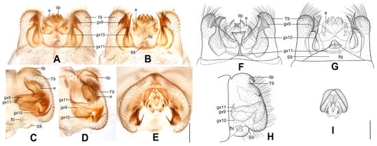 Insects 12 00451 g015