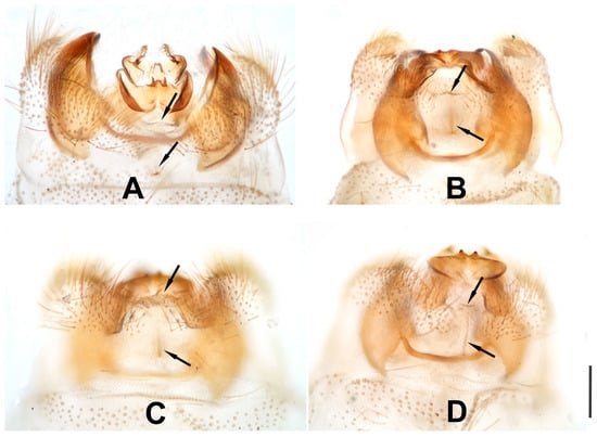 Insects 12 00451 g016