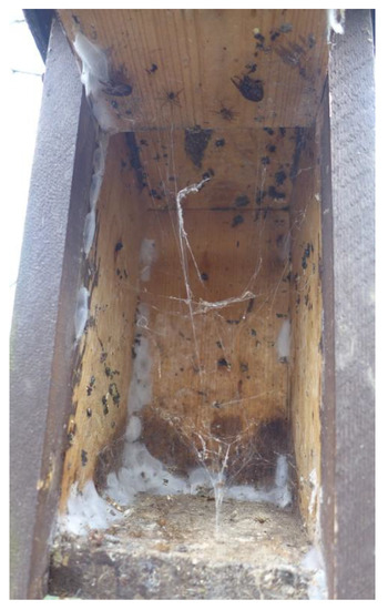 Insects 12 00465 g0a1