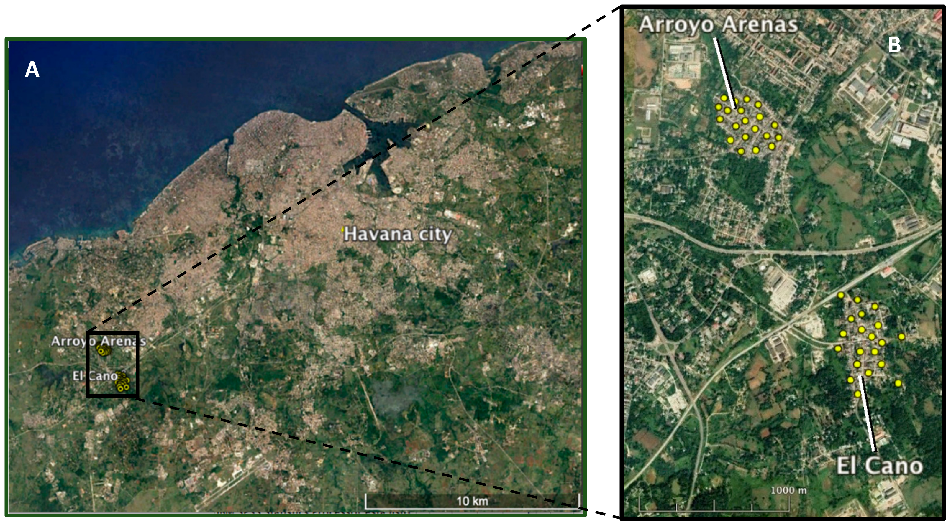 Insects 12 00469 g001 Insects 12 00469 g001