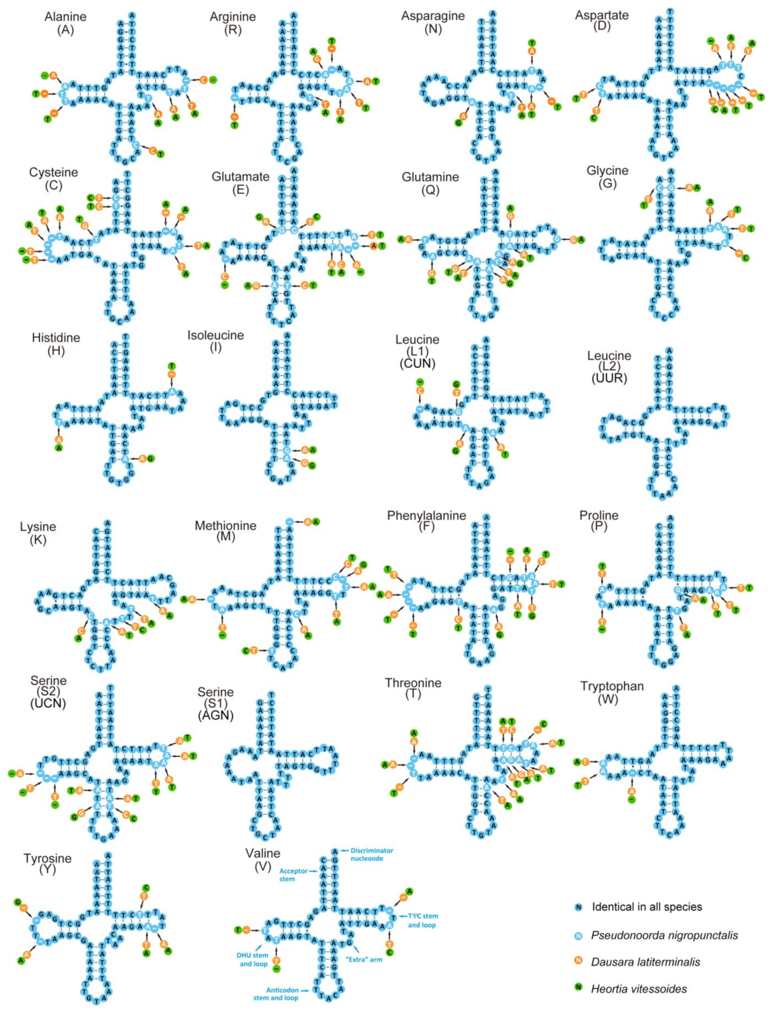 Insects 12 00486 g003 Insects 12 00486 g003