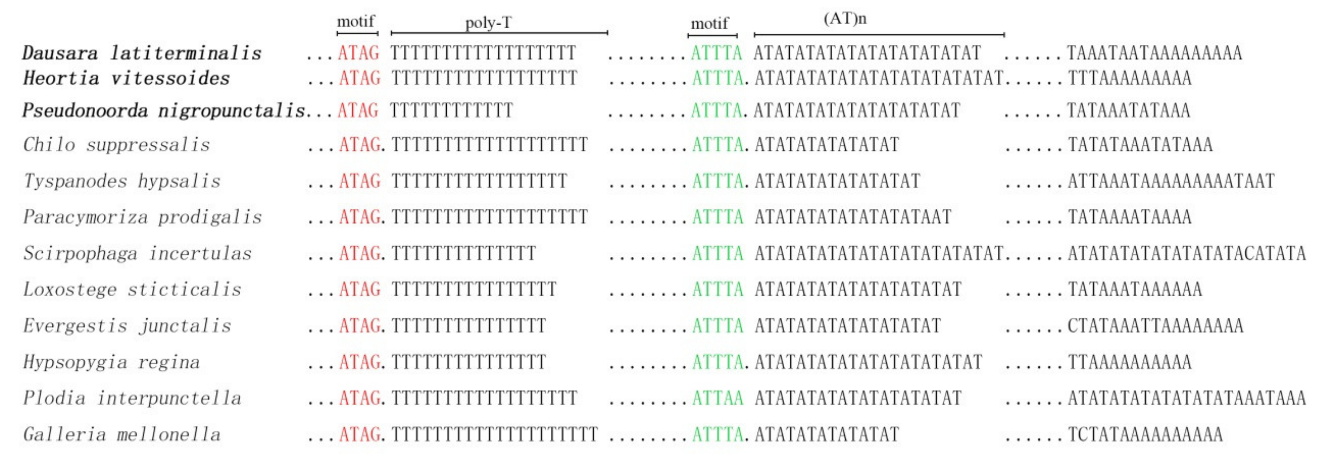 Insects 12 00486 g004 Insects 12 00486 g004