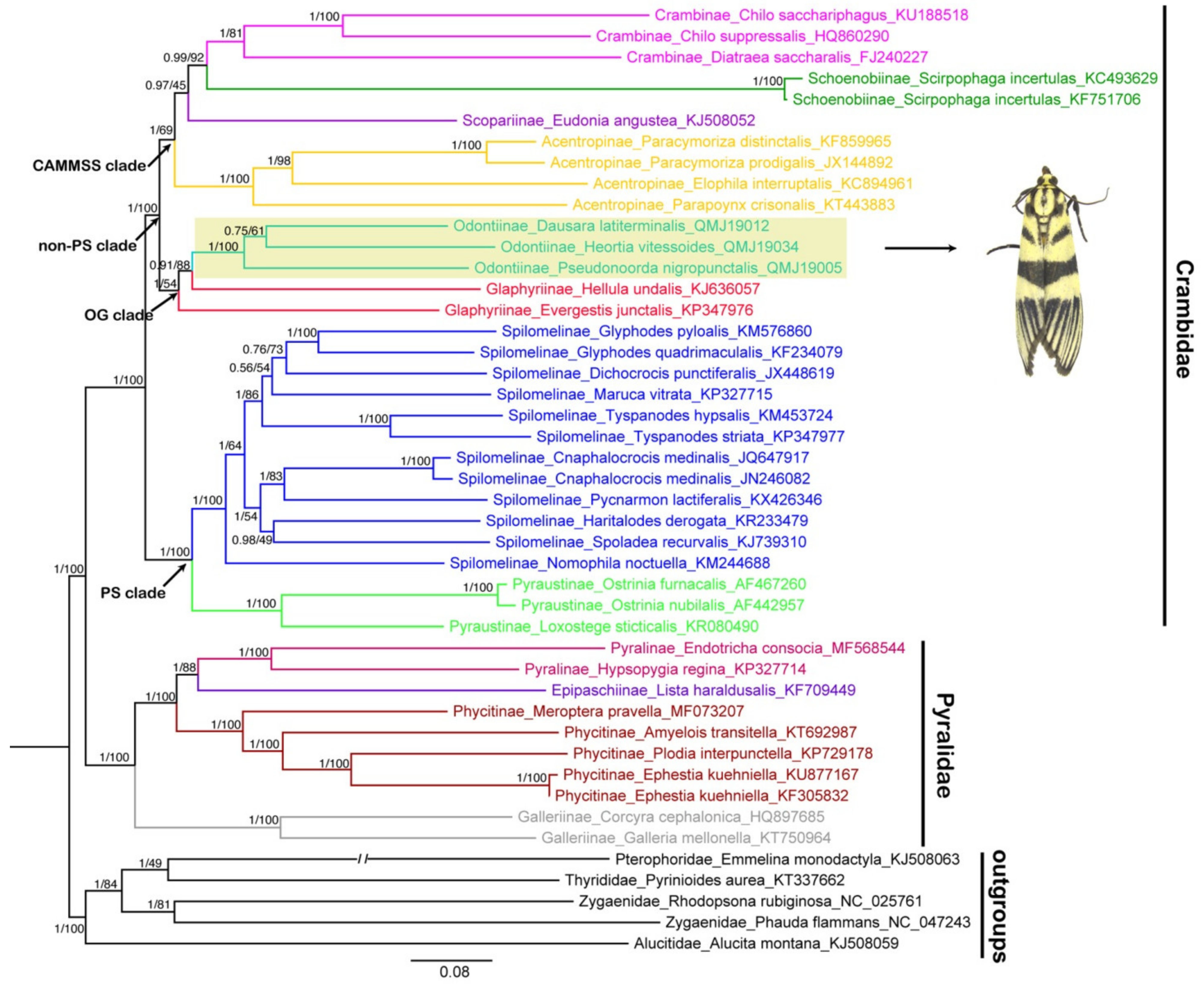 Insects 12 00486 g005 Insects 12 00486 g005