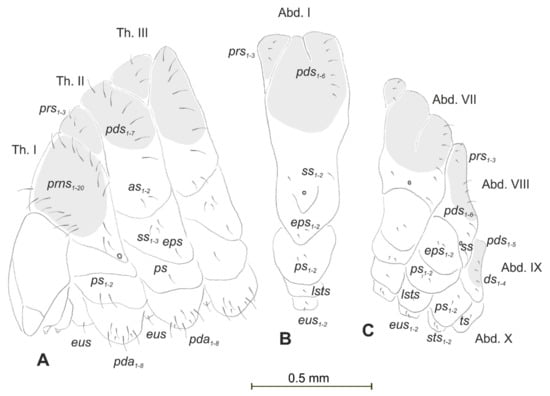 Insects 12 00489 g002