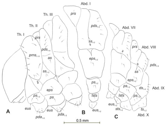 Insects 12 00489 g012