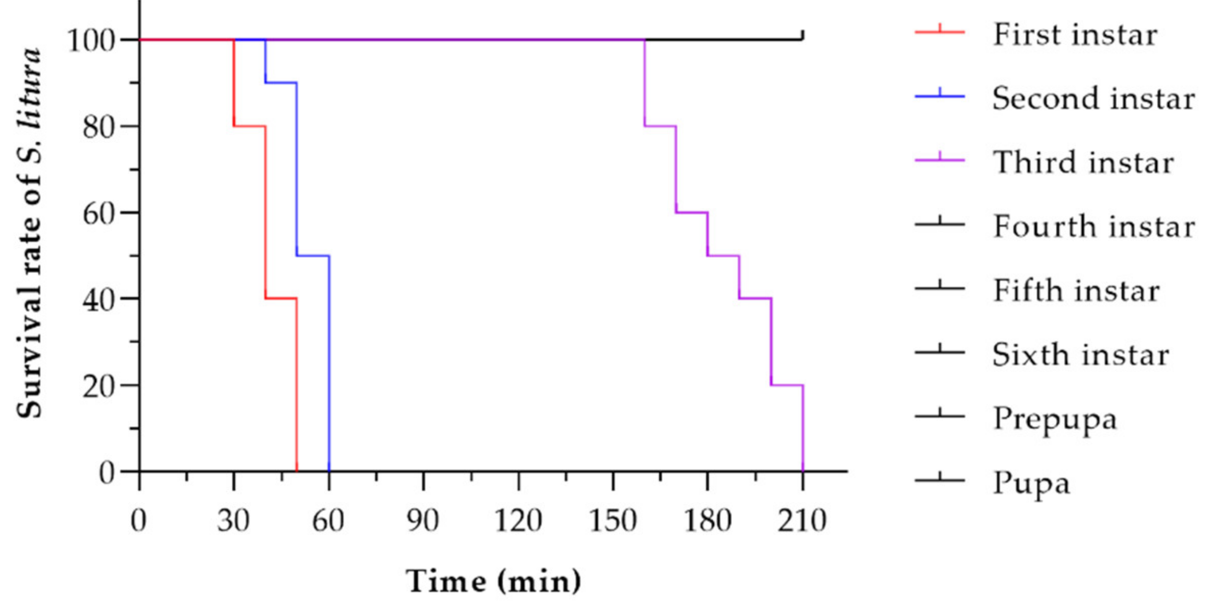 Insects 12 00490 g002