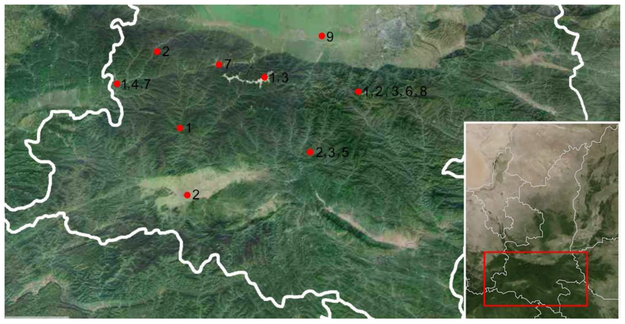 Insects 12 00494 g001