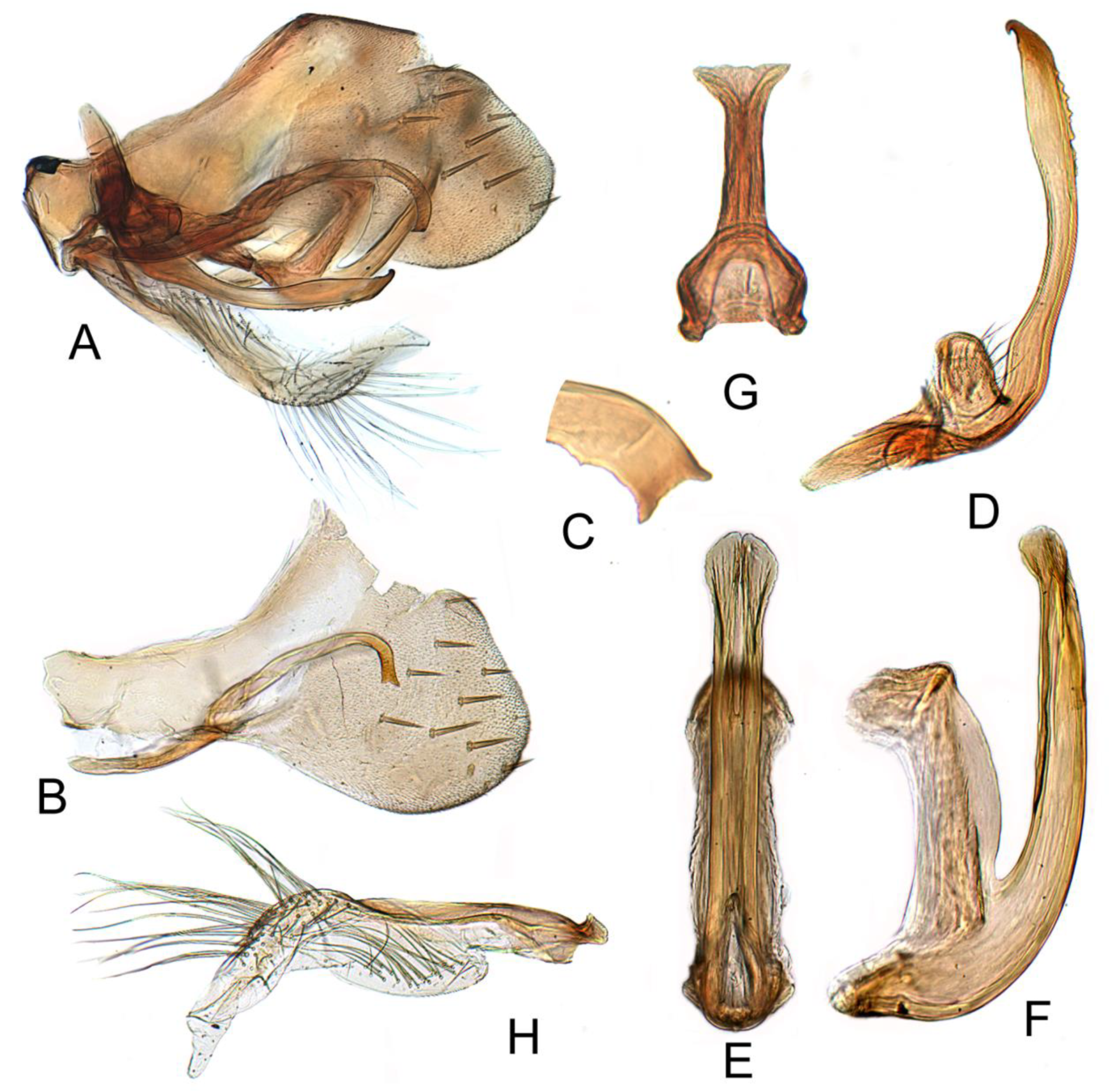 Insects 12 00494 g005