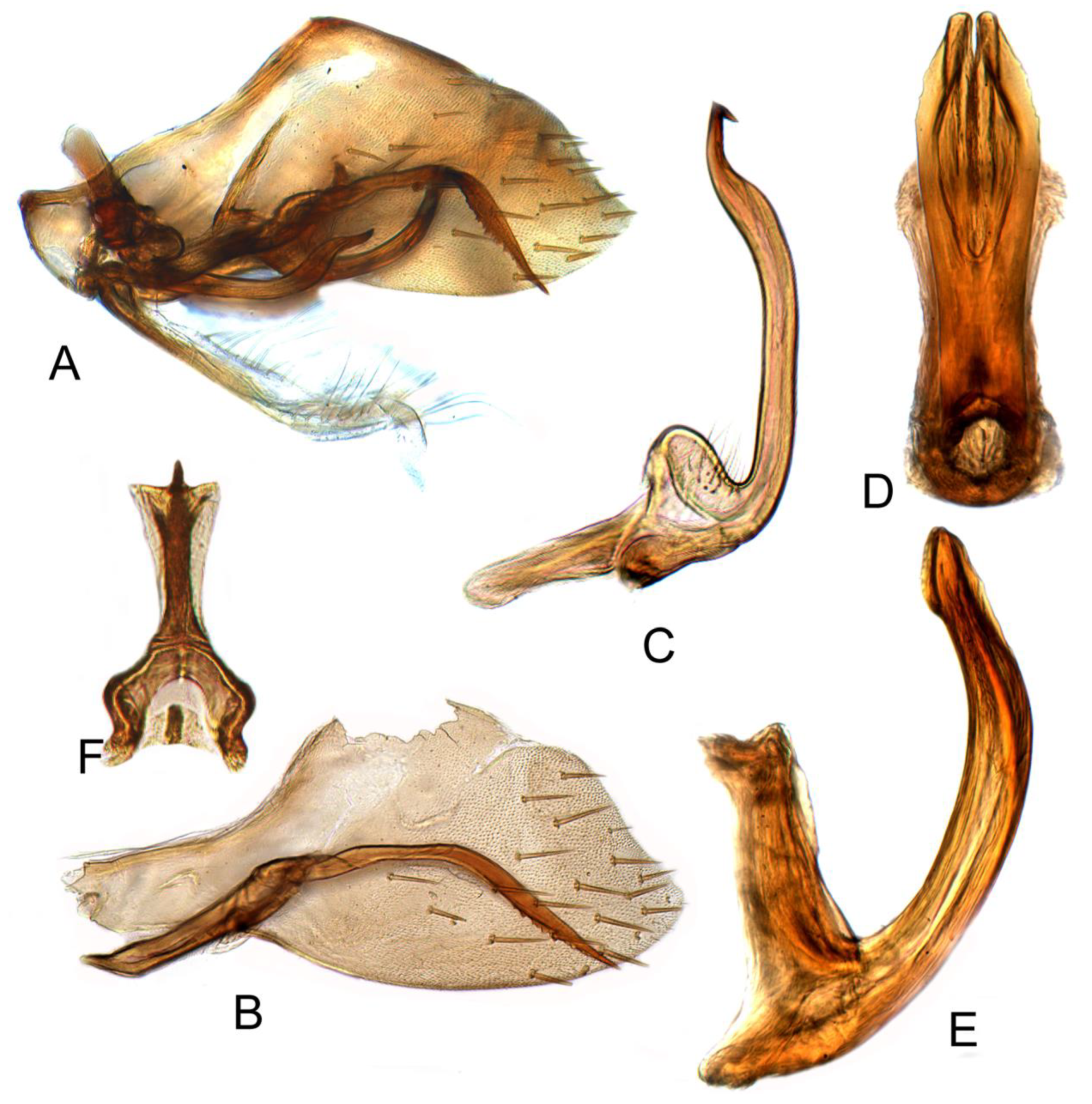 Insects 12 00494 g007