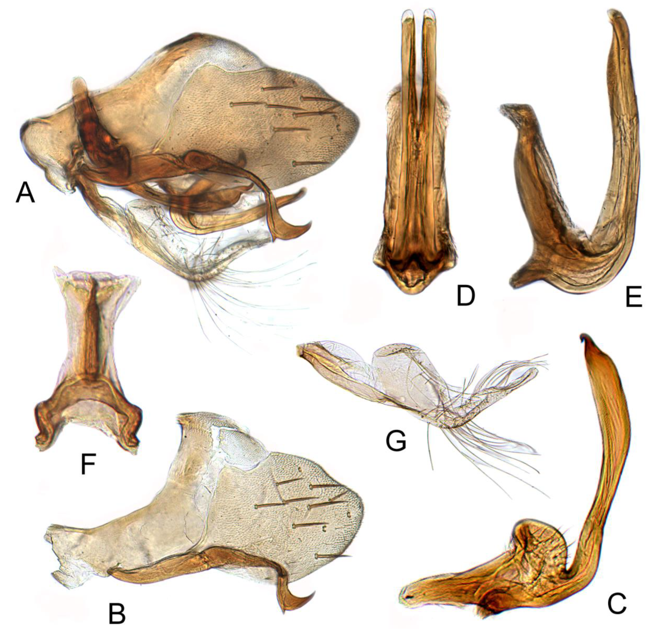 Insects 12 00494 g009