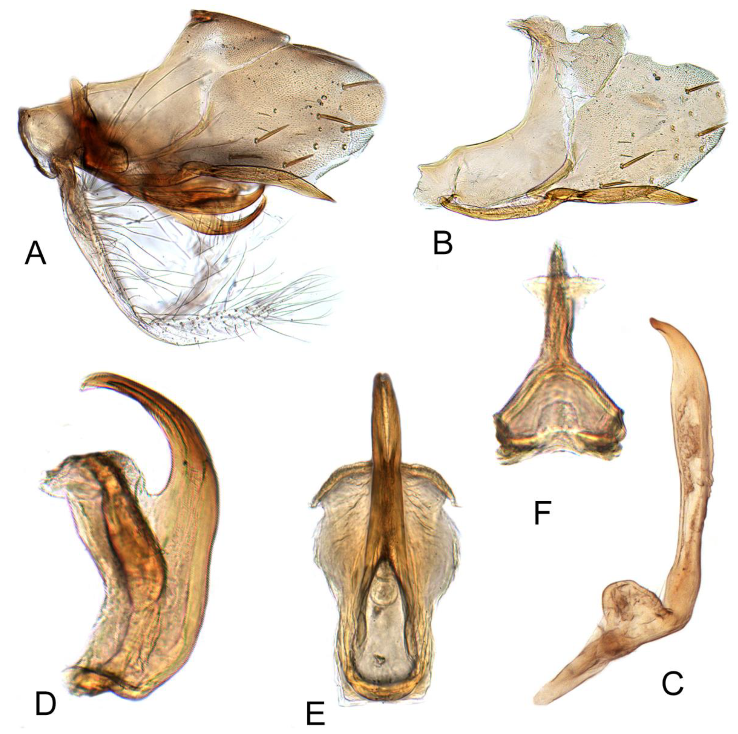 Insects 12 00494 g010