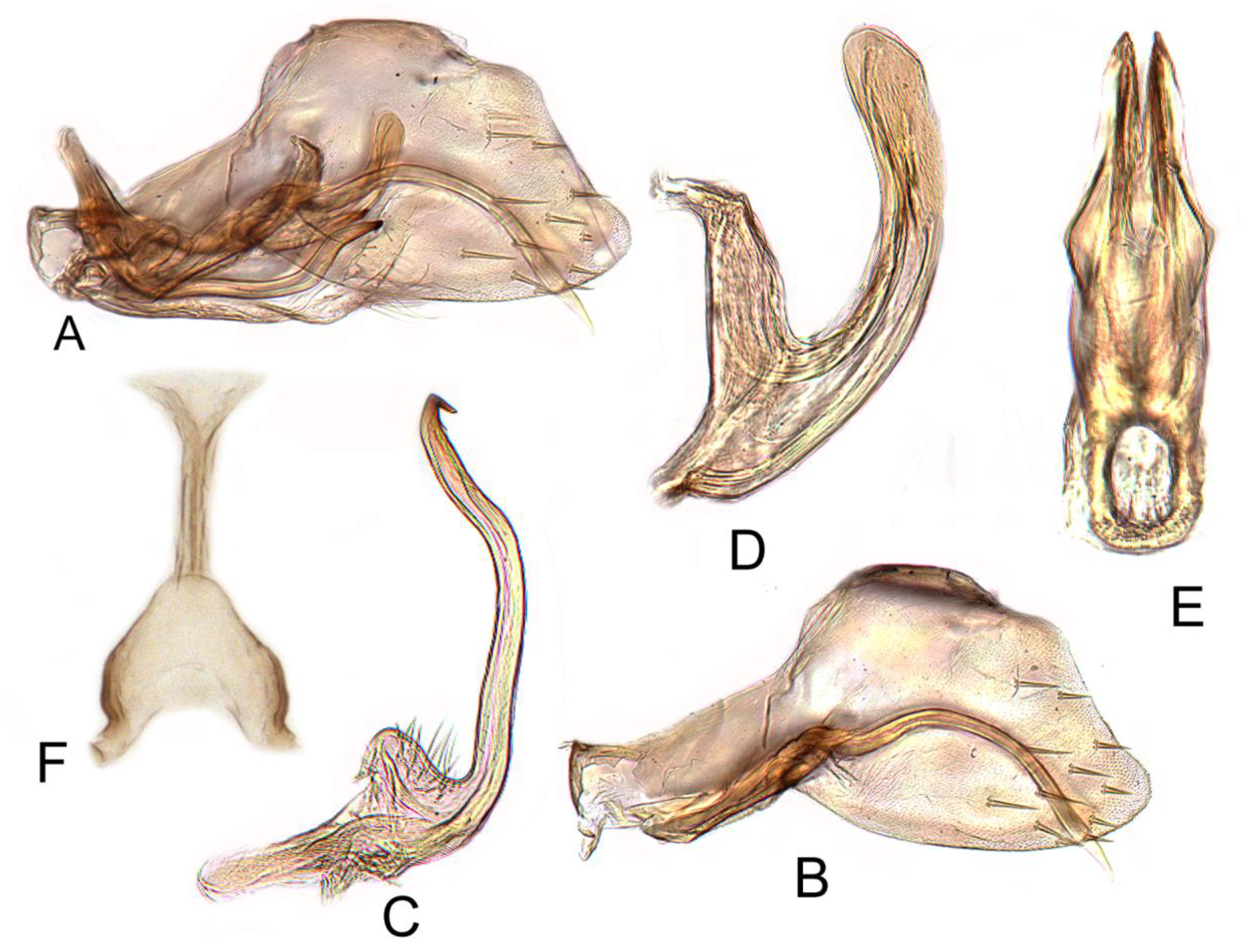 Insects 12 00494 g011