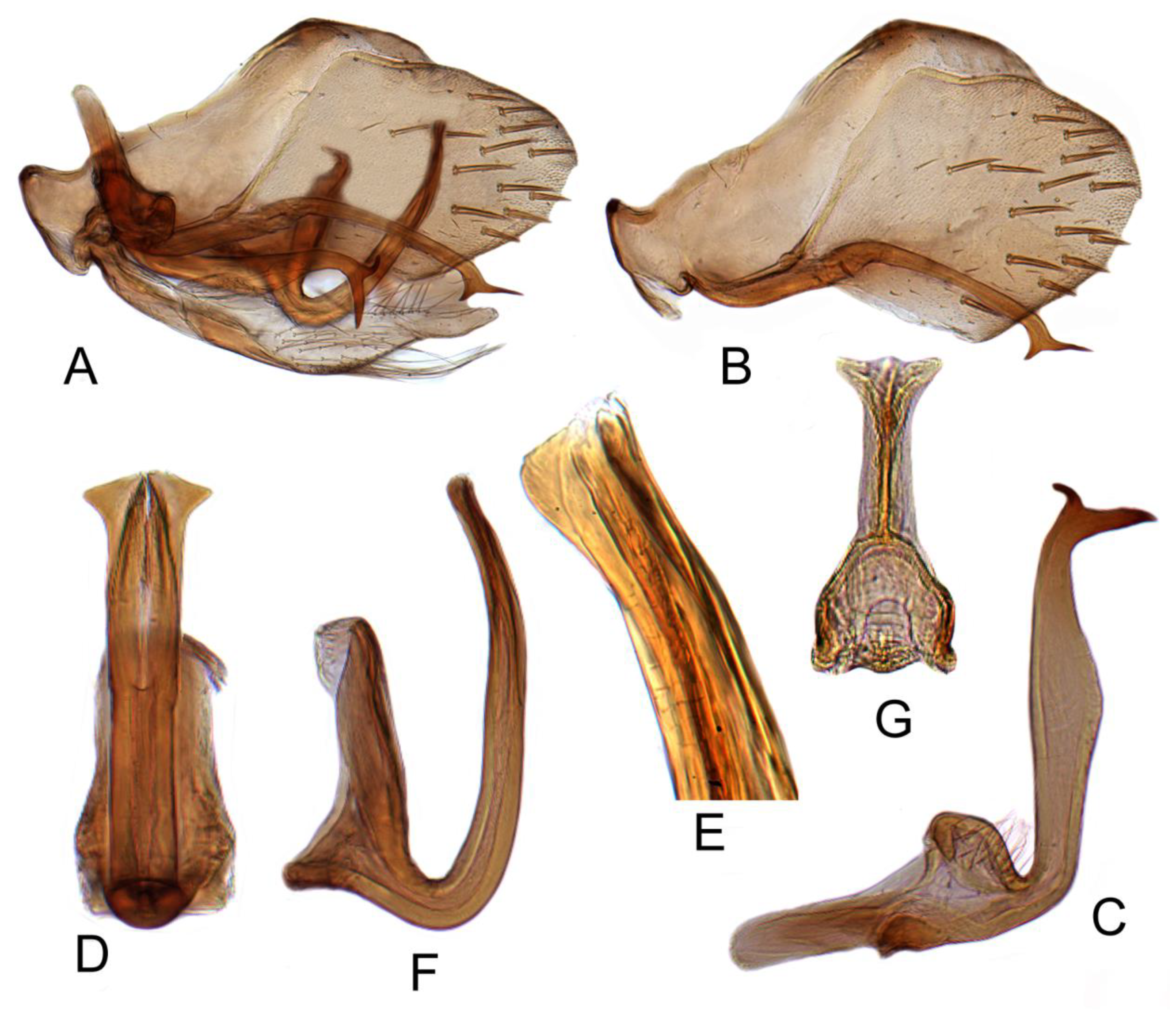 Insects 12 00494 g012