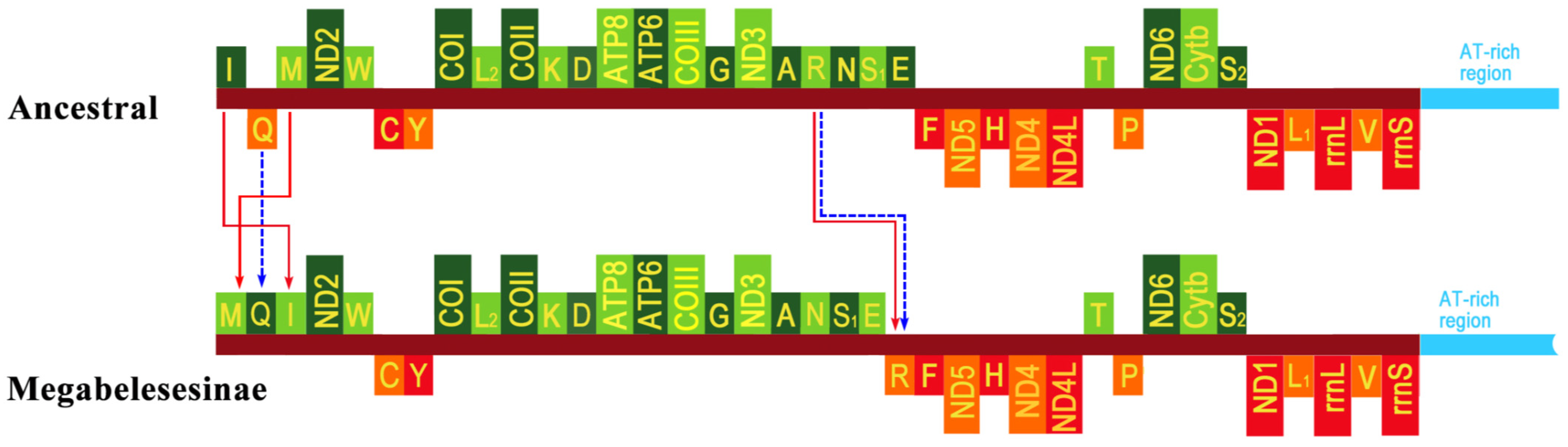 Insects 12 00495 g001