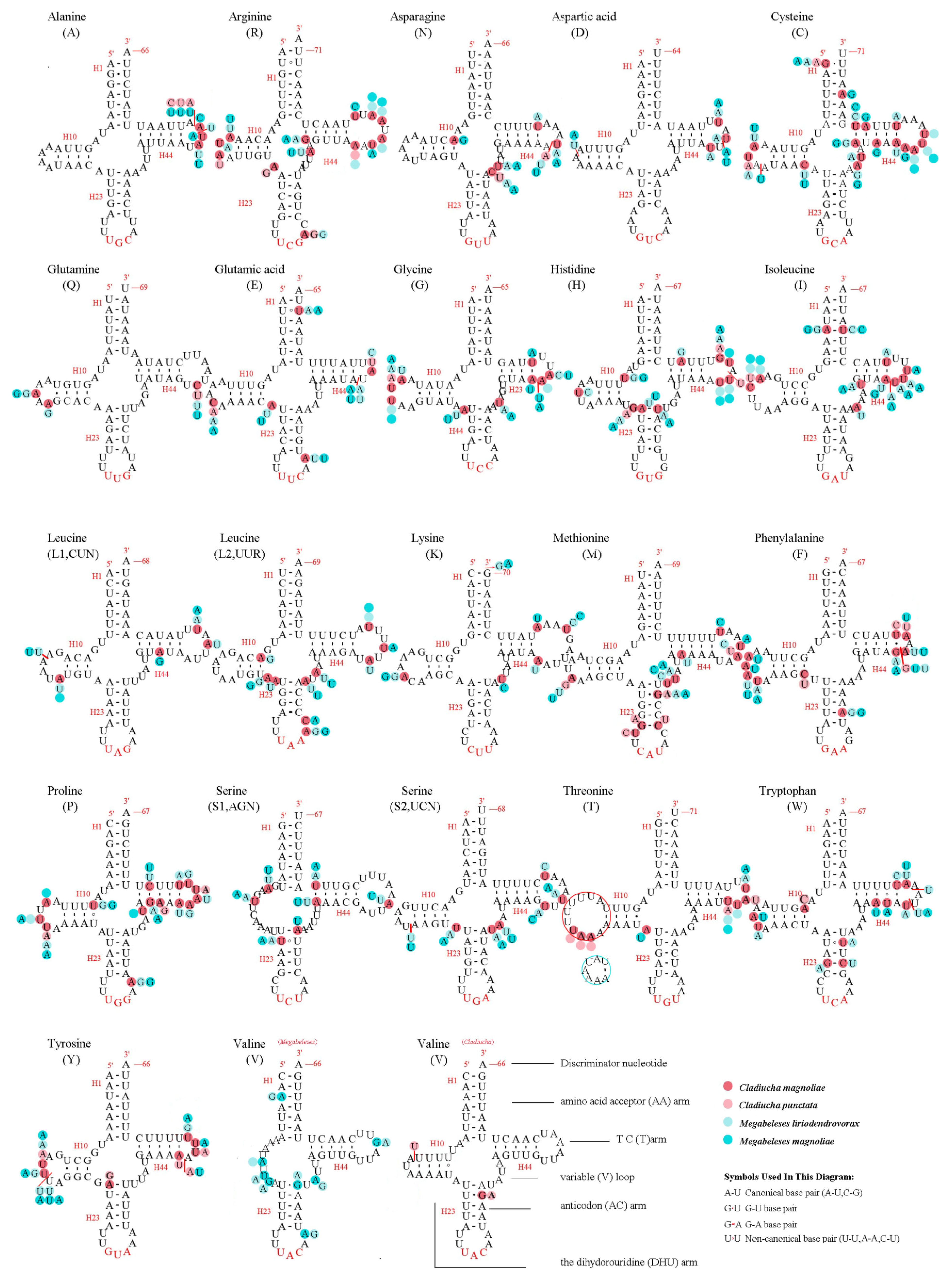 Insects 12 00495 g003