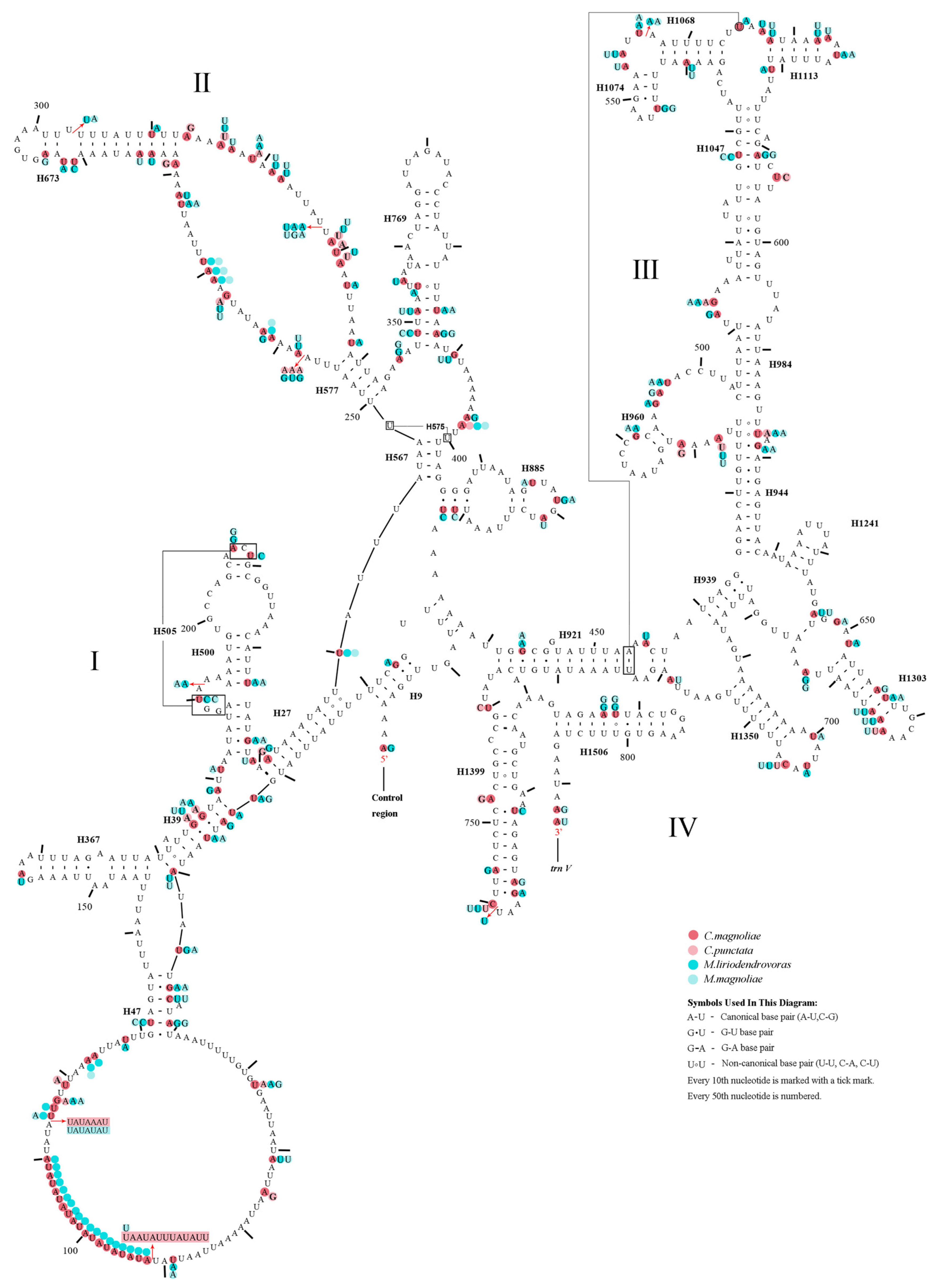 Insects 12 00495 g004