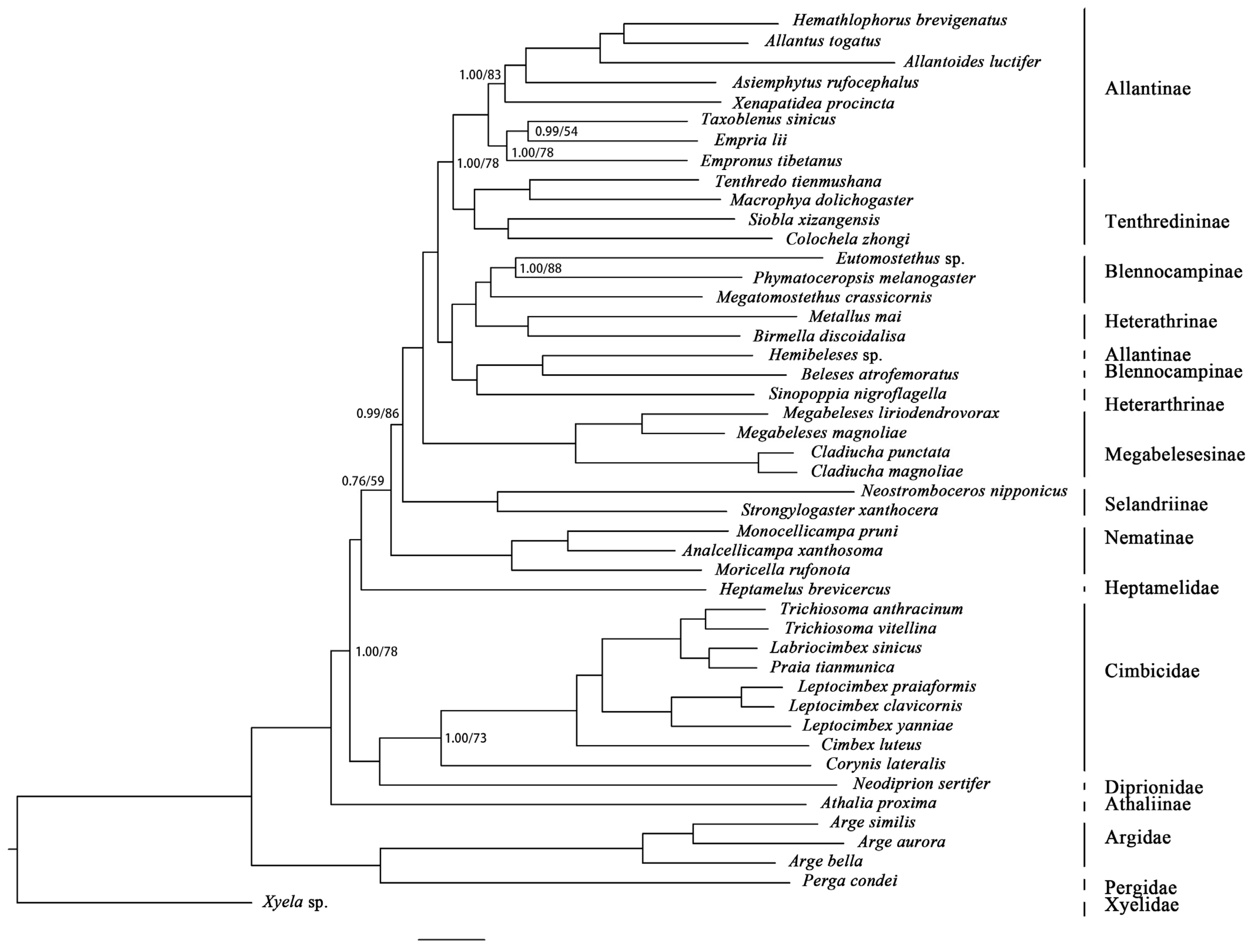 Insects 12 00495 g006