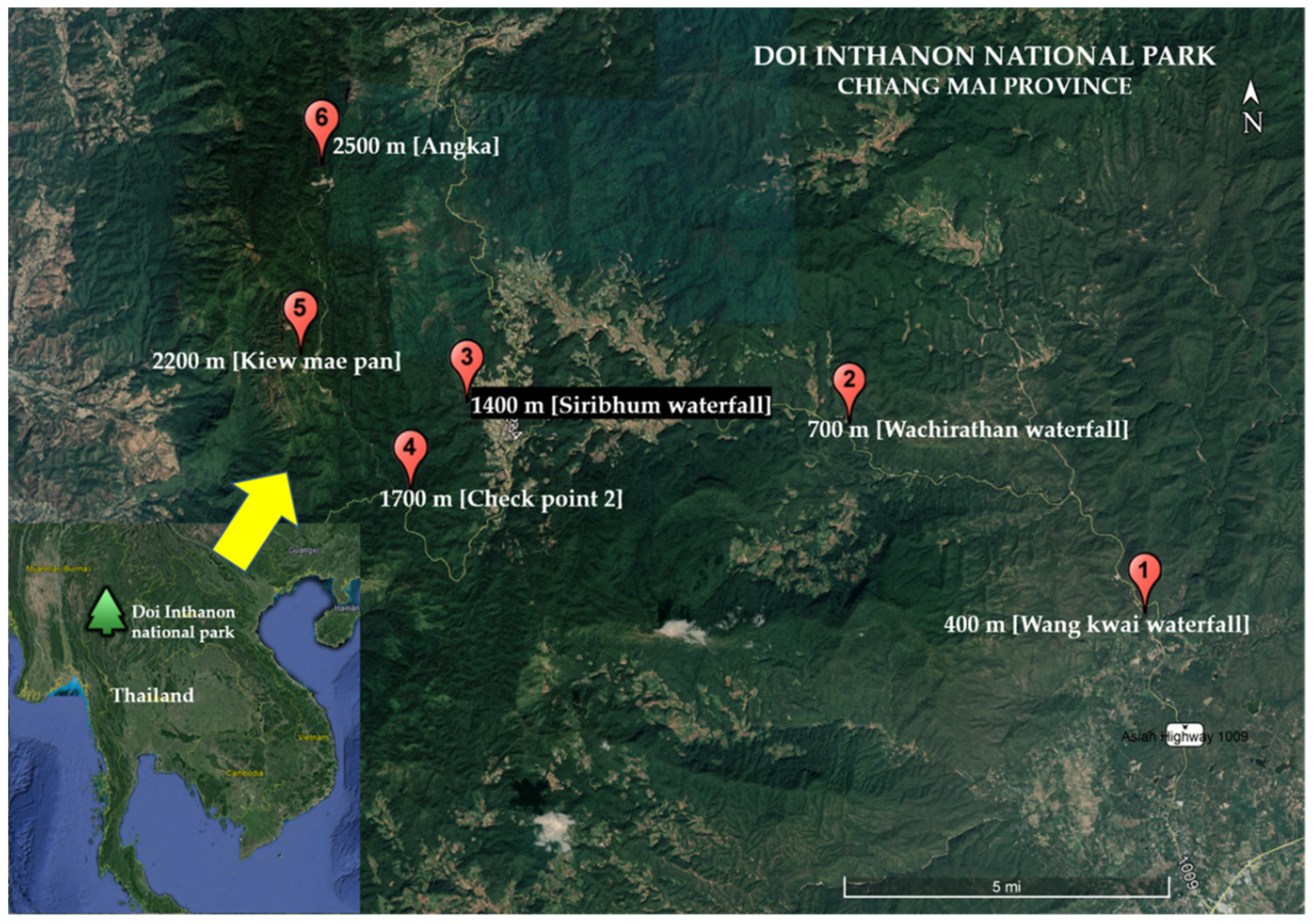 Insects 12 00504 g001