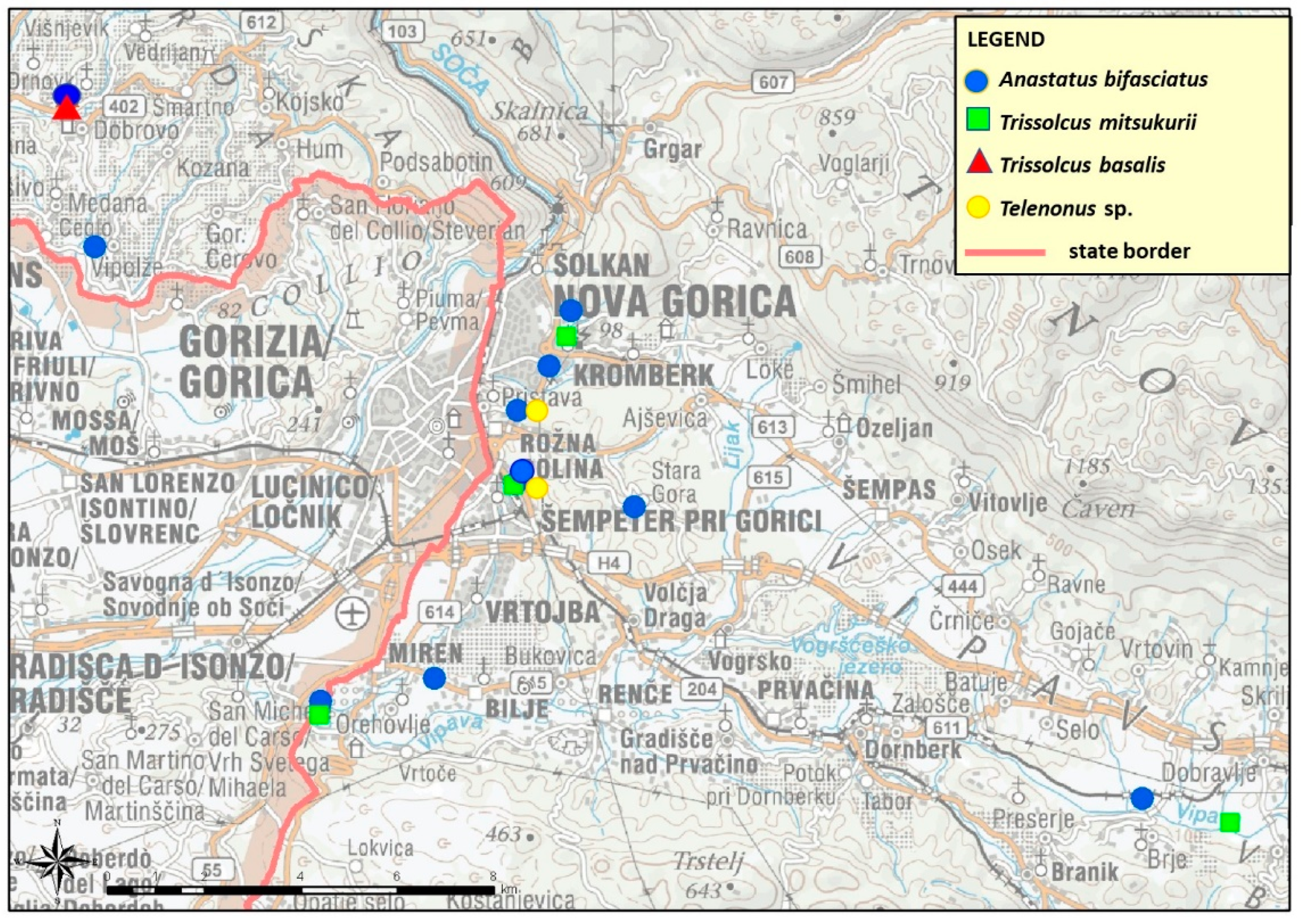 Insects 12 00505 g001