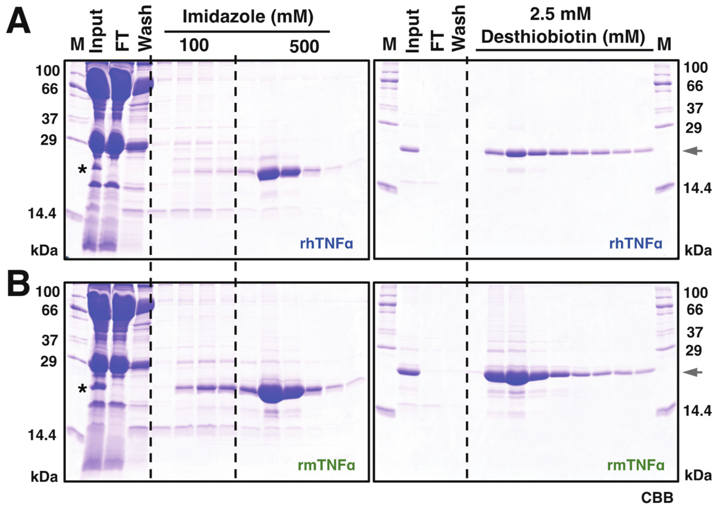 Insects 12 00517 g002